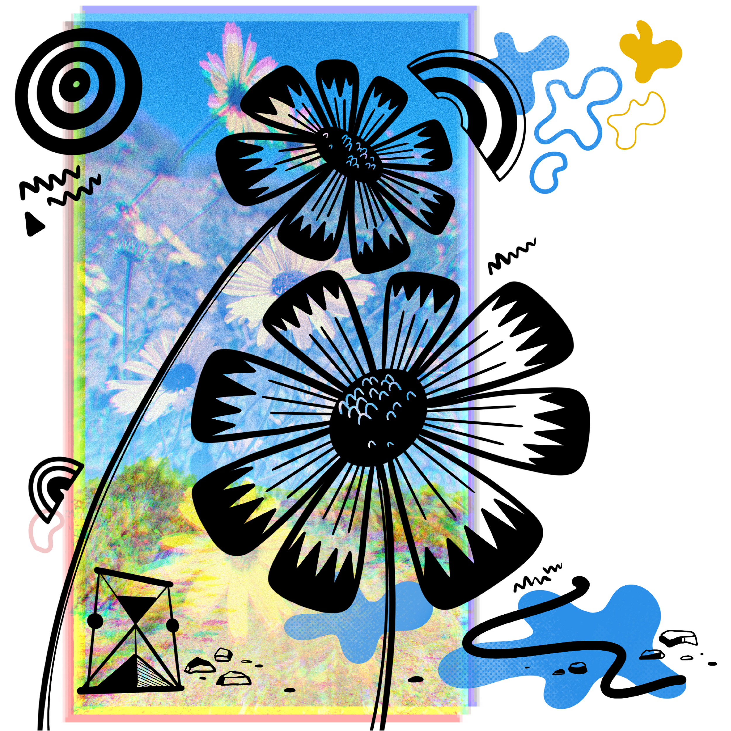Daisies drawing.png