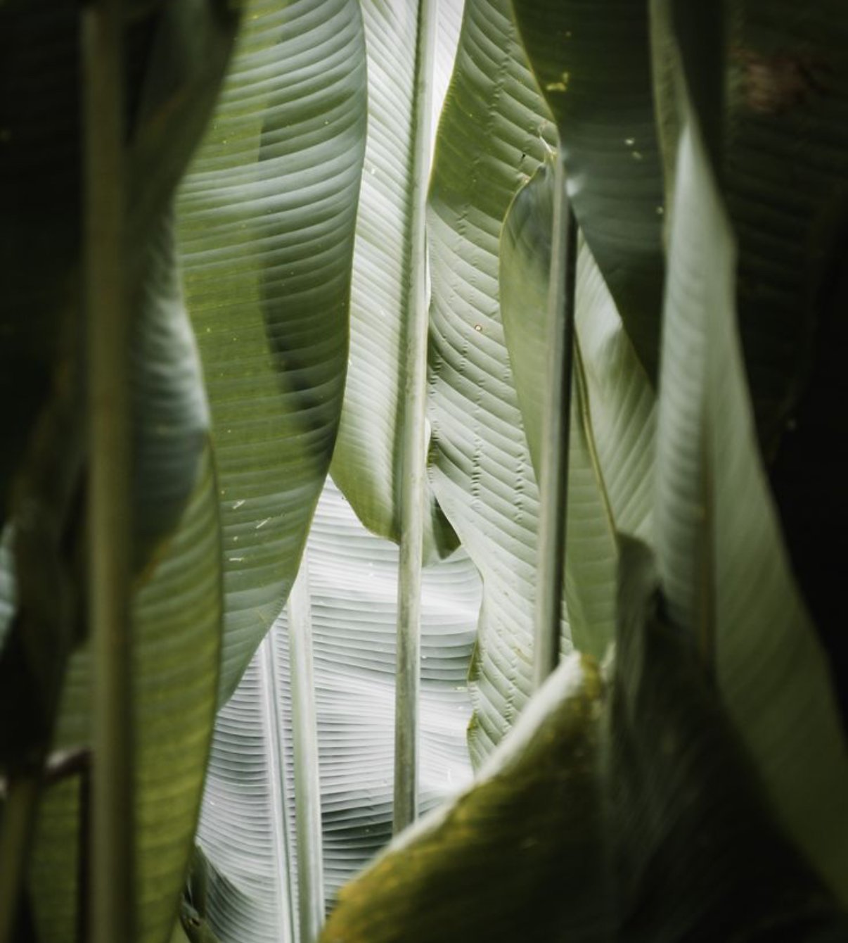 IMG_0476.jpeg