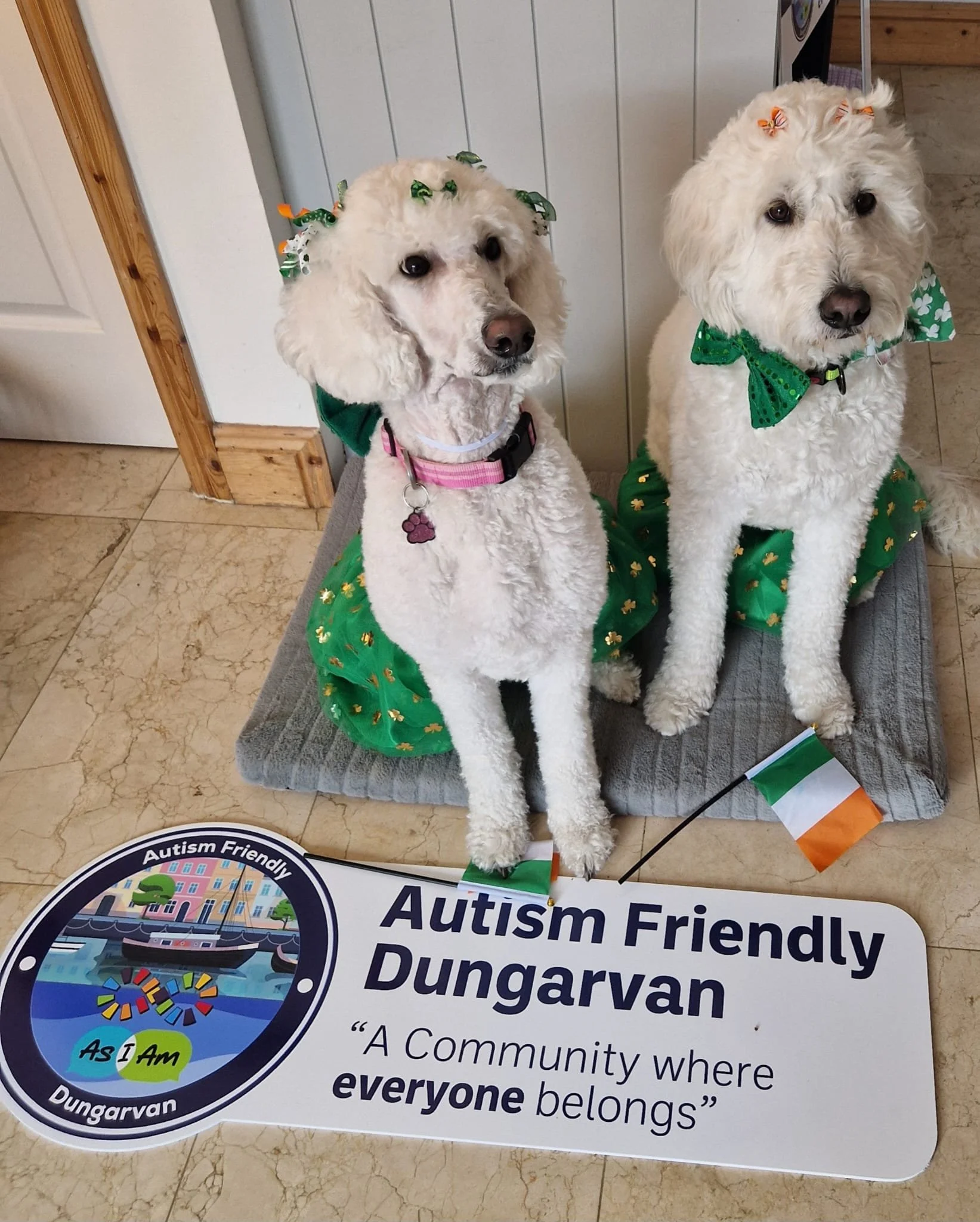 WhatsApp Image 2025-05-09 at 07.27.42.jpeg