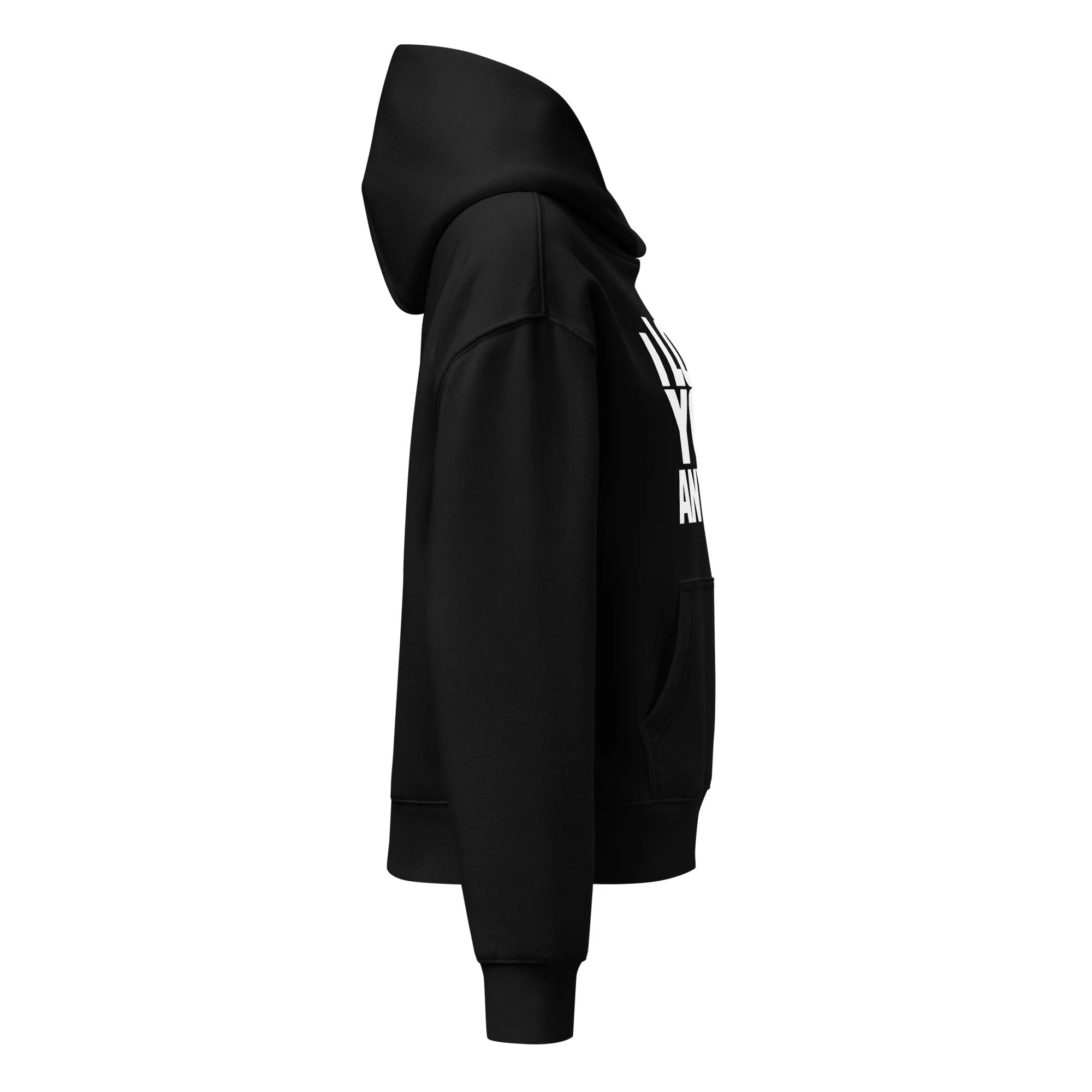 I Love You Anyway | Mirror, Mirror Off The Wall Album | Loui Crow Lyric | Women’s Relaxed Hoodie