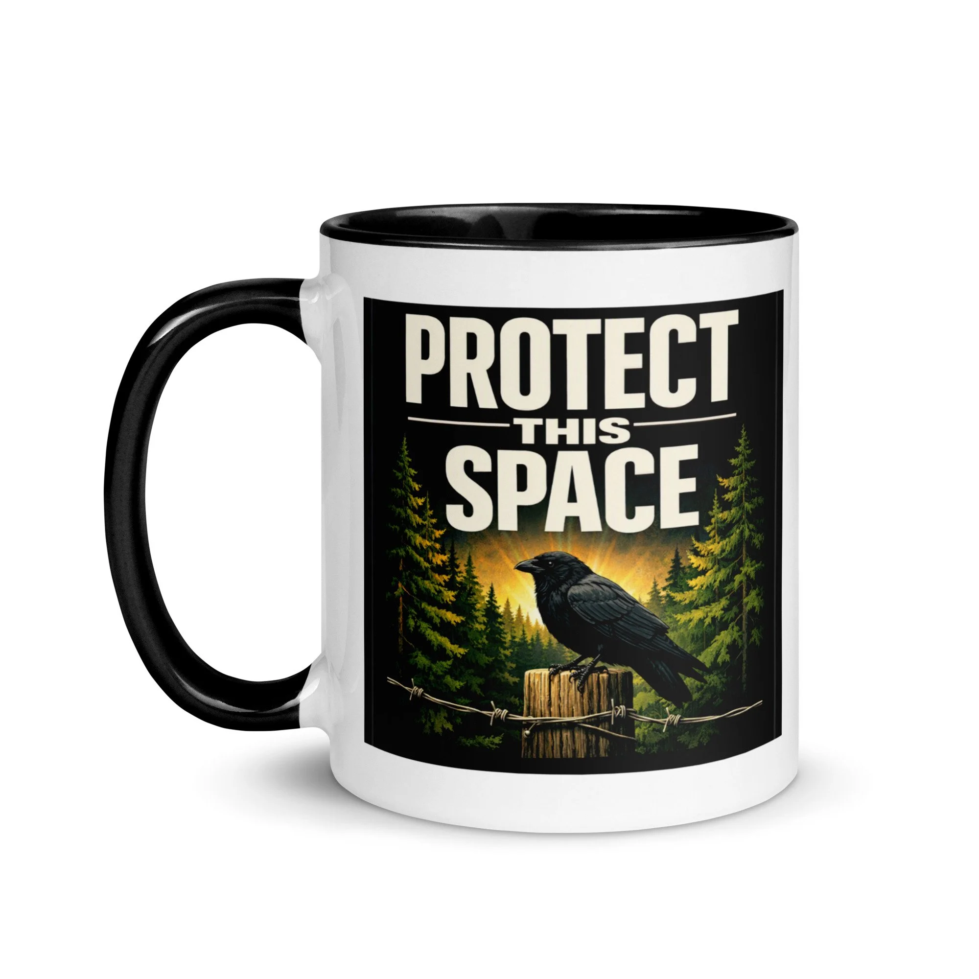 Protect This Space | Crow Circles What's Worth Guarding | Mom Magick Ritual of Protection | LBRP Inspired |  Loui Crow Lyric | 11 oz. Mug
