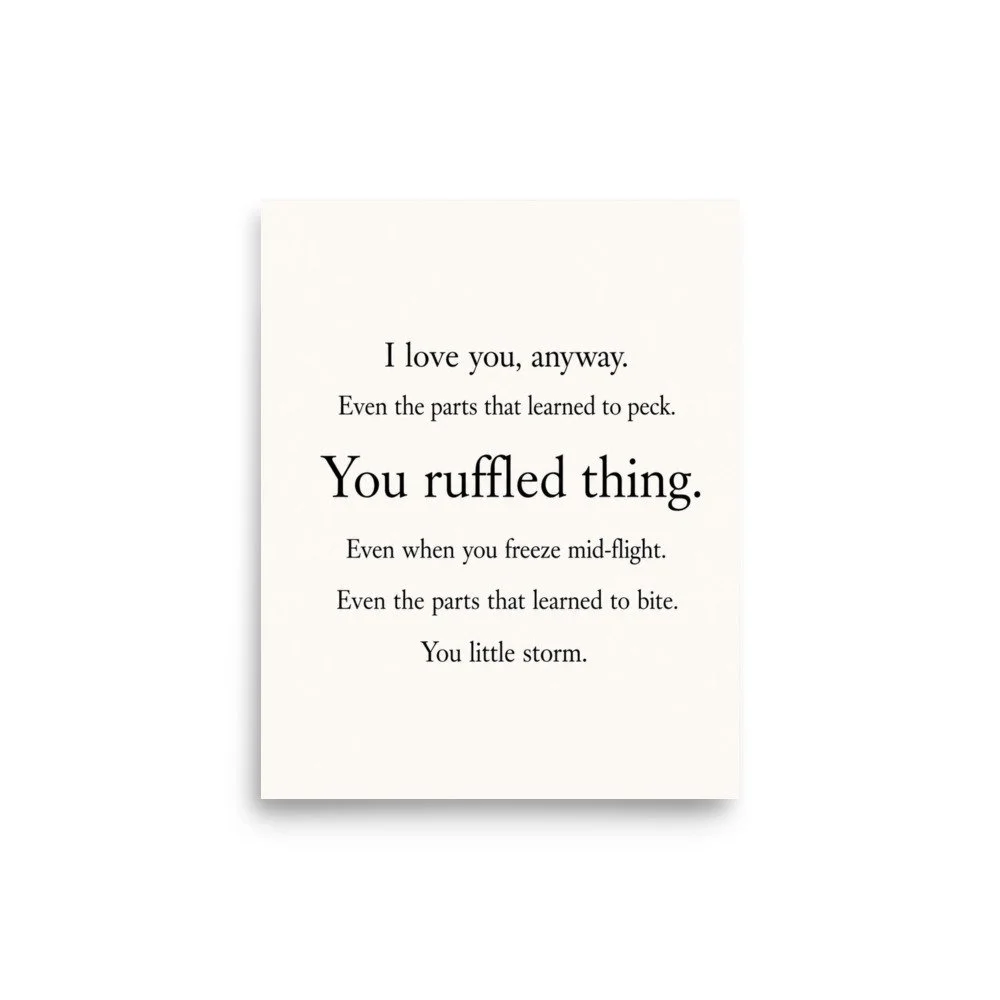 I Love You Anyway | Mirror Work | Self-Acceptance | Mirror, Mirror Off The Wall Album | Loui Crow Lyric  | 8x10 Poster Unframed