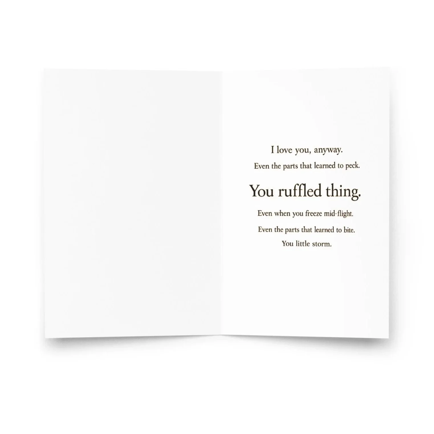 greeting-card-4x6-inside-6a6ca249b41e2.jpg