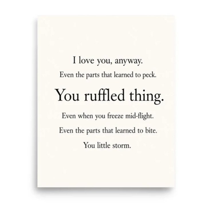 enhanced-matte-paper-poster-%28in%29-8x10-front-6a6d03b433755.jpg