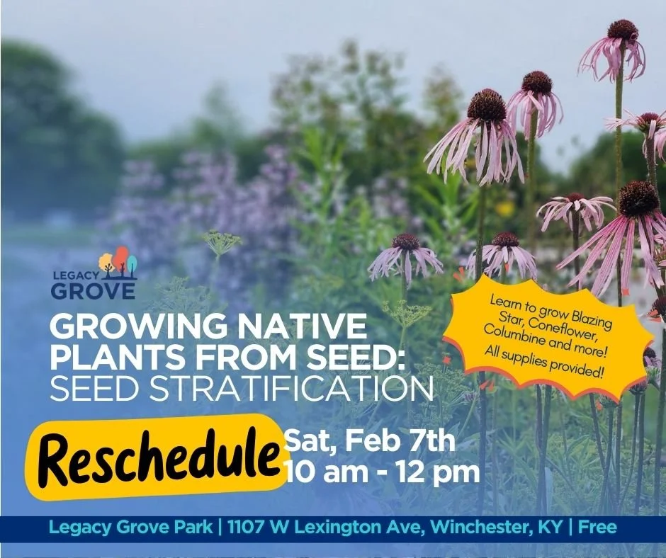 Growing Native Plants from Seed: Seed Stratification Workshop