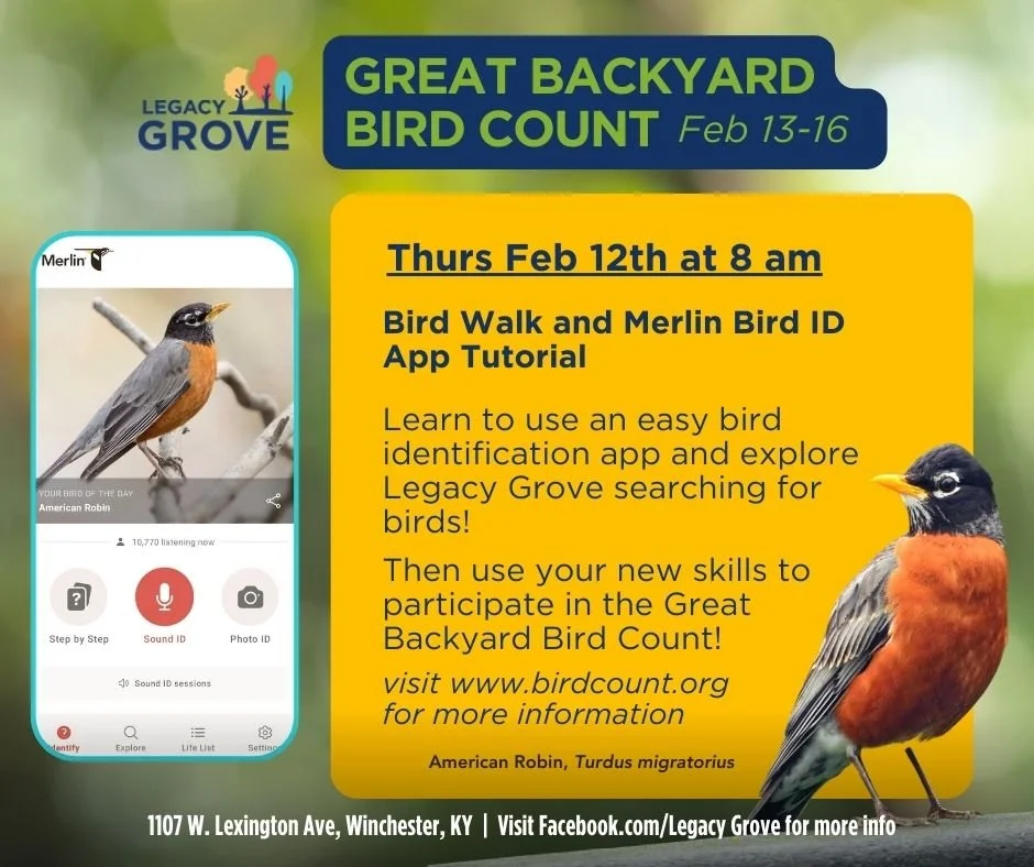 Bird Walk and Merlin Bird ID App Tutorial