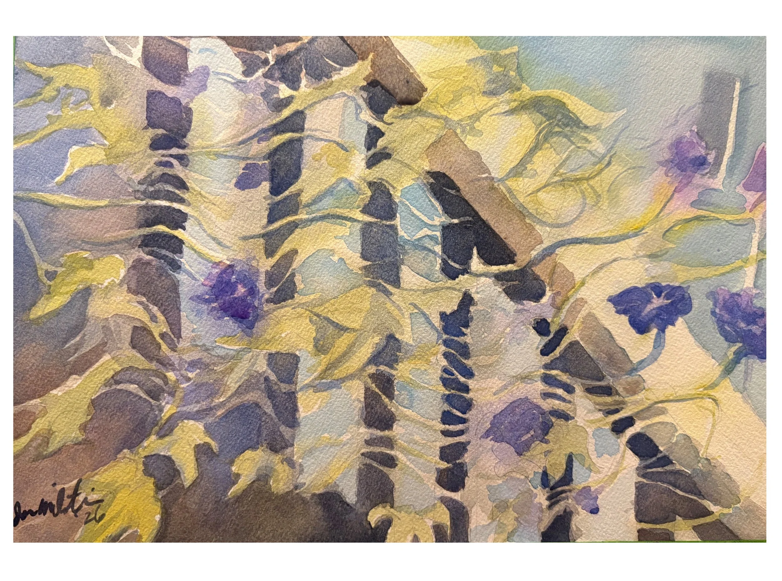 morning glories_3.jpeg