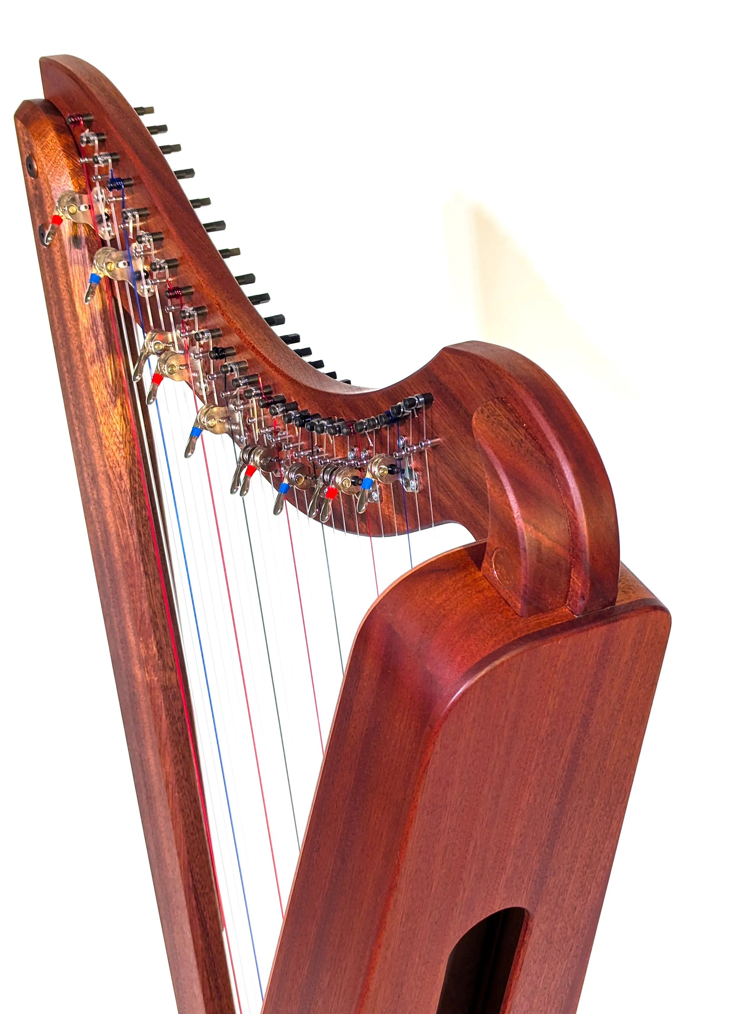 PXL_20250117_200612861.MP copy.jpeg