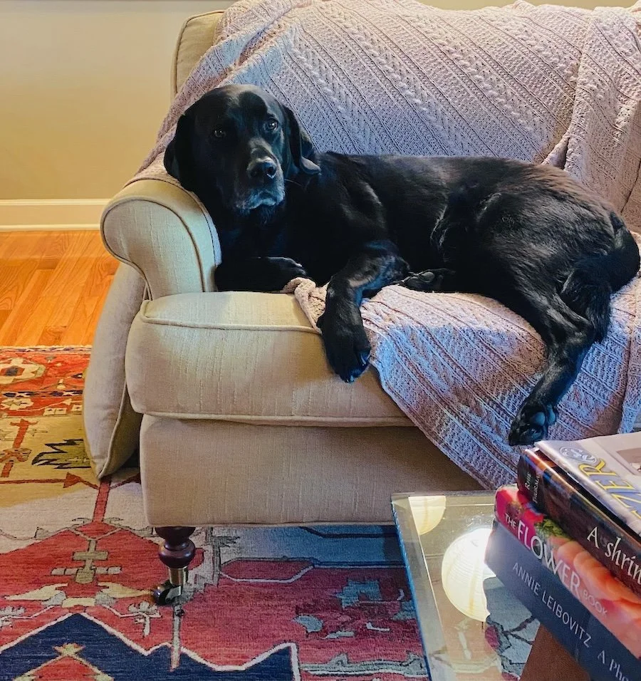 remembering his sounds