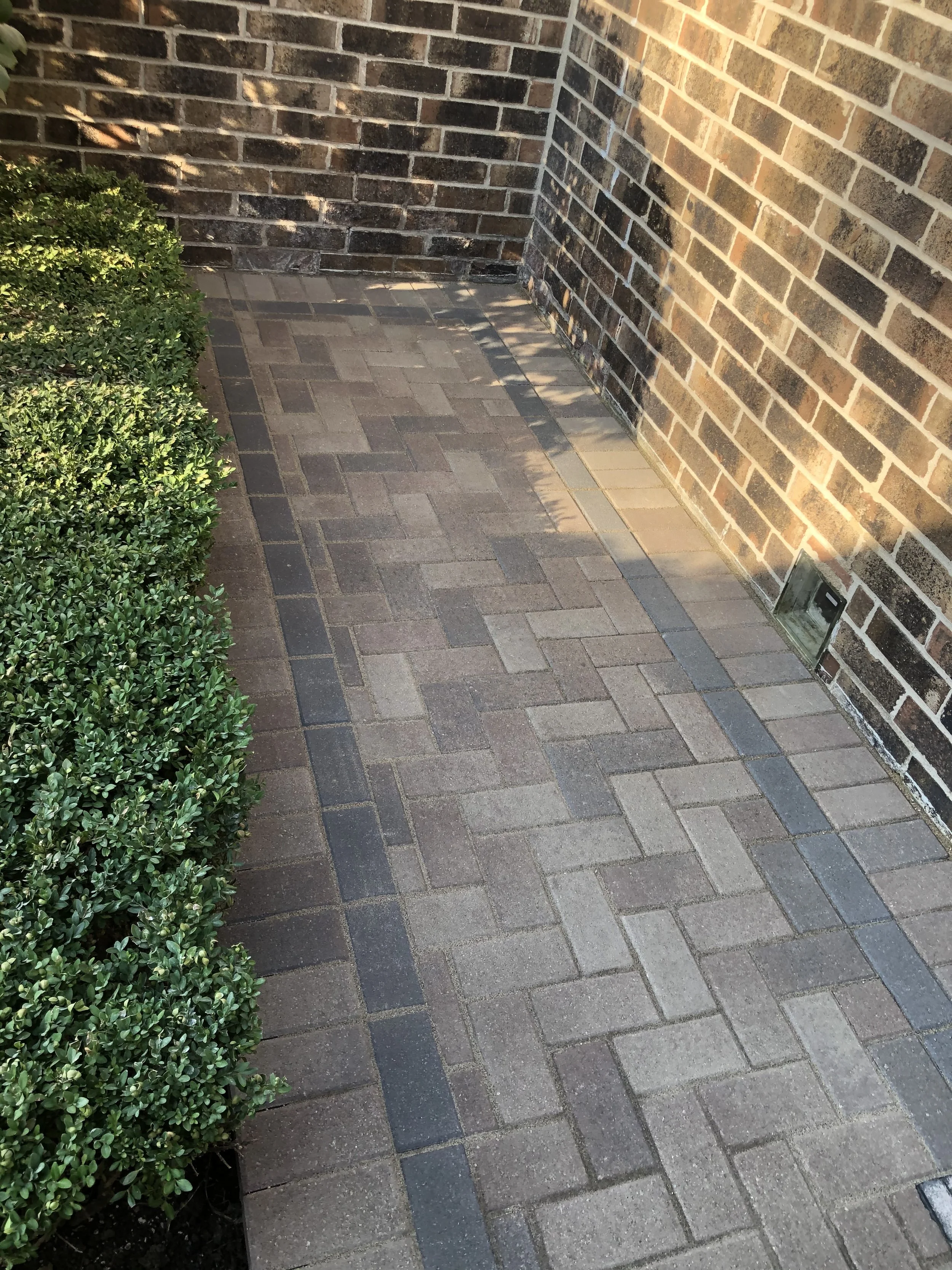 Photo Sep 25 2020, 4 42 45 PM.jpg