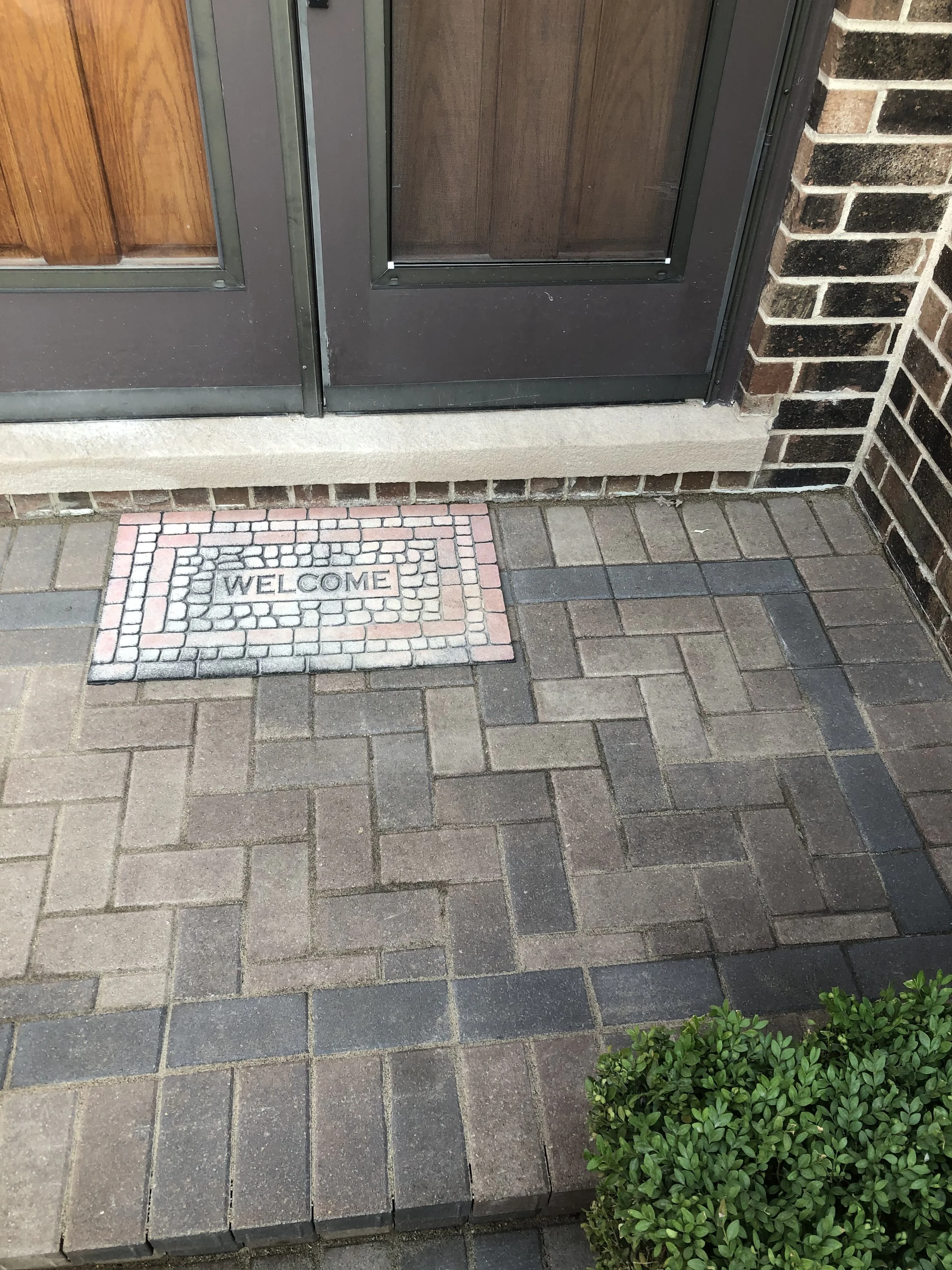 Photo Sep 25 2020, 4 42 43 PM.jpg