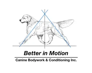 Better in Motion Canine Bodywork &amp; Conditioning Inc. (Training)