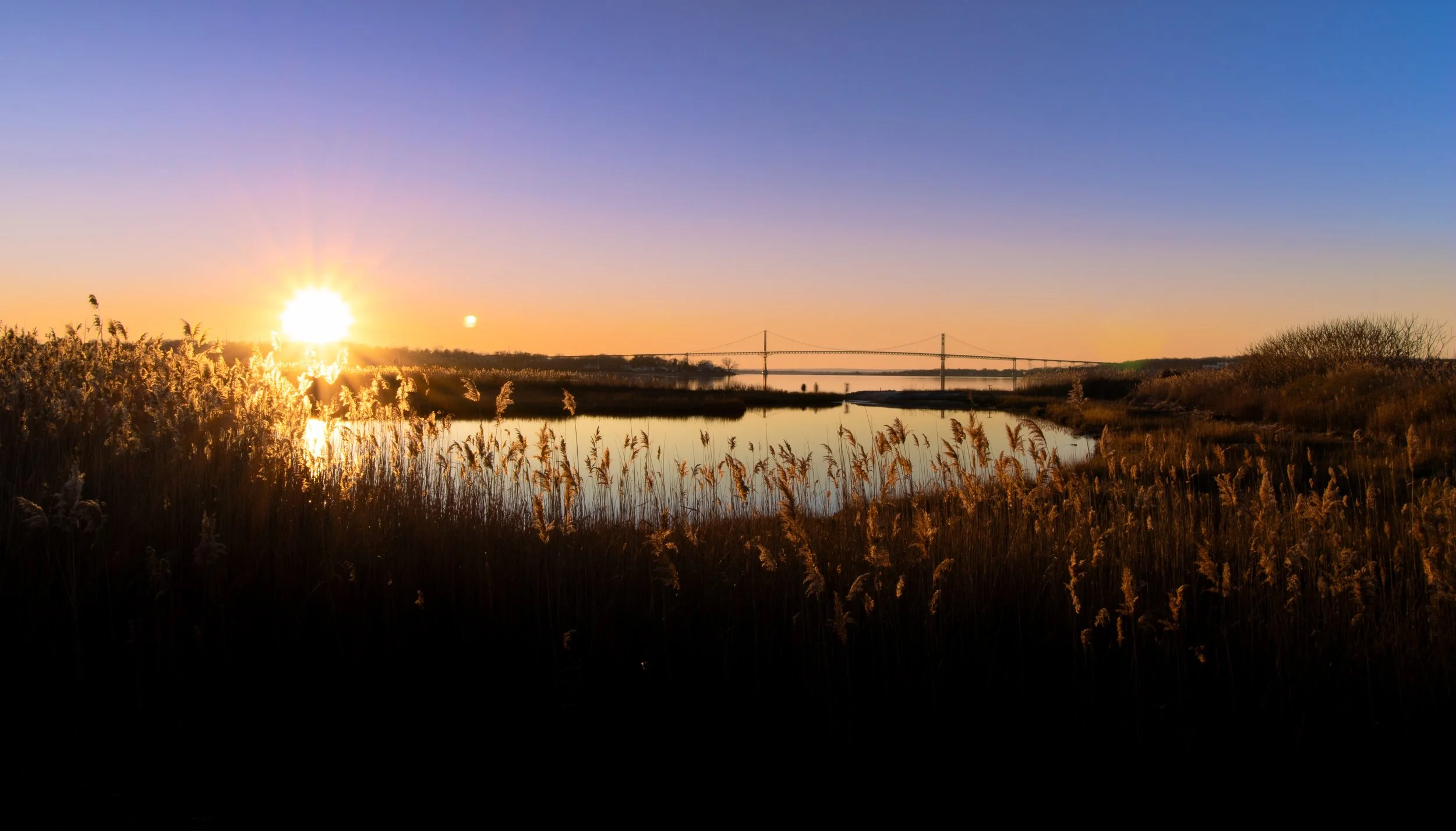 _MG_5660.jpg