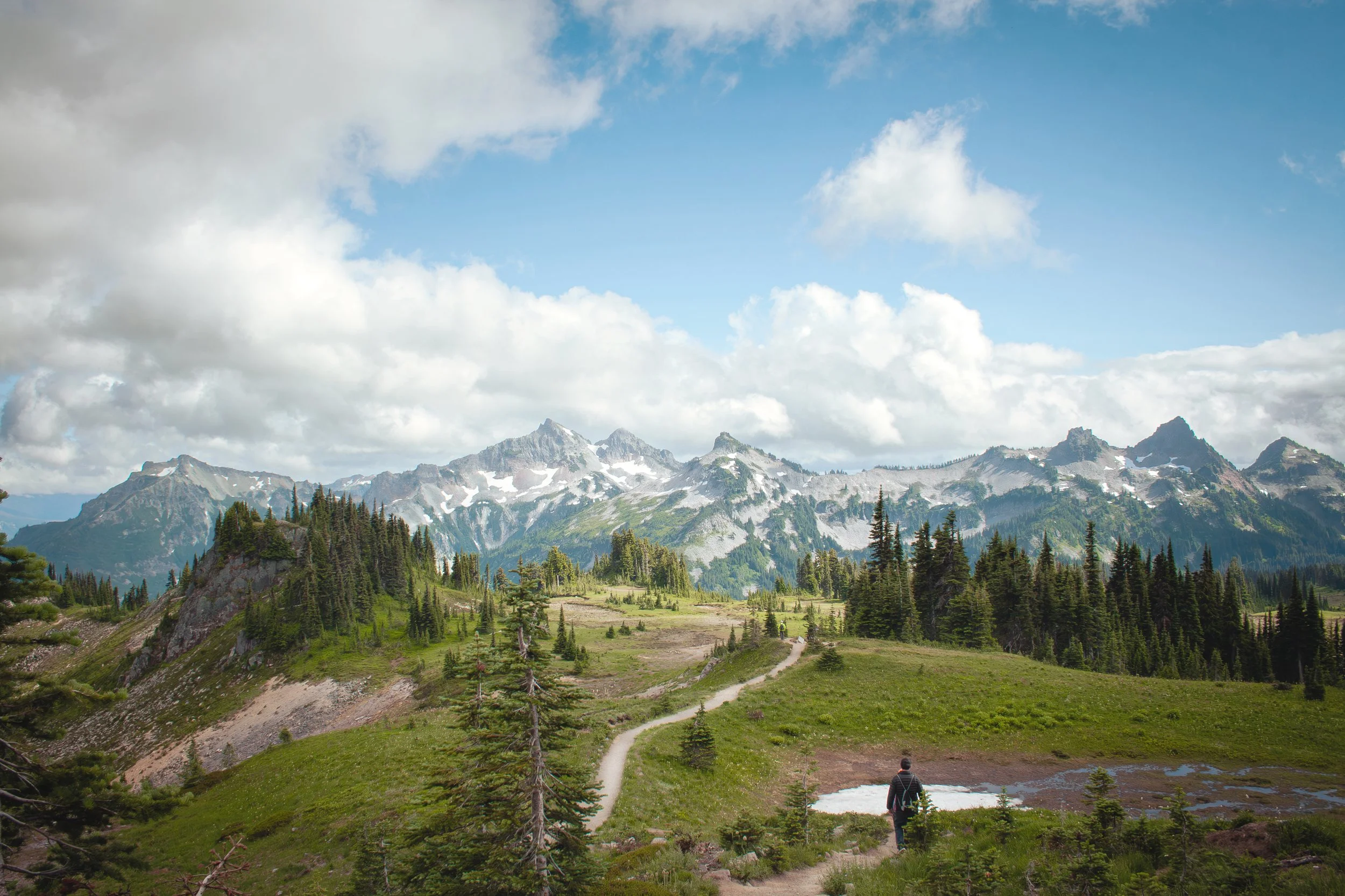mt Rainer.jpg
