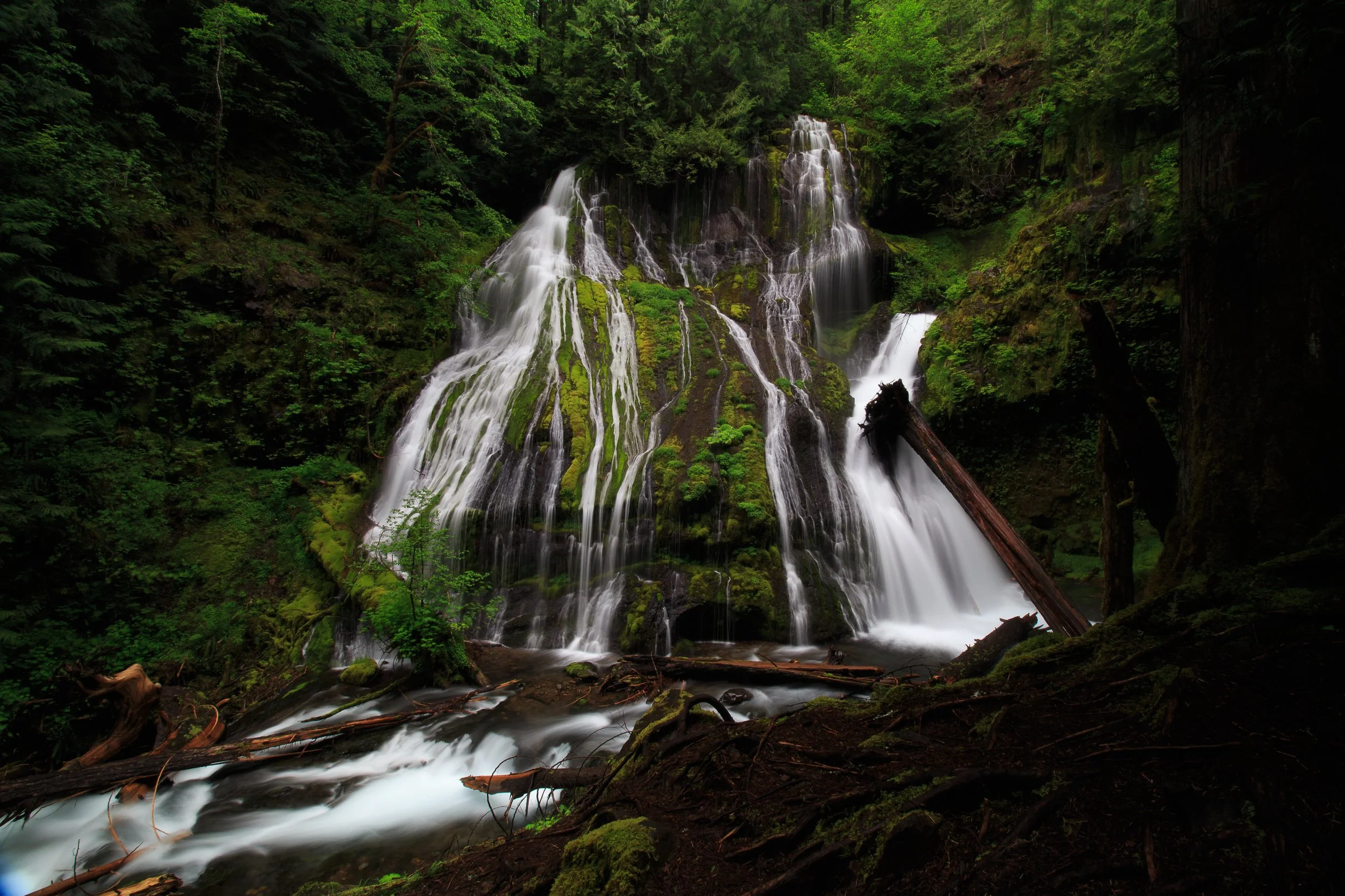 _MG_5890[1].jpg