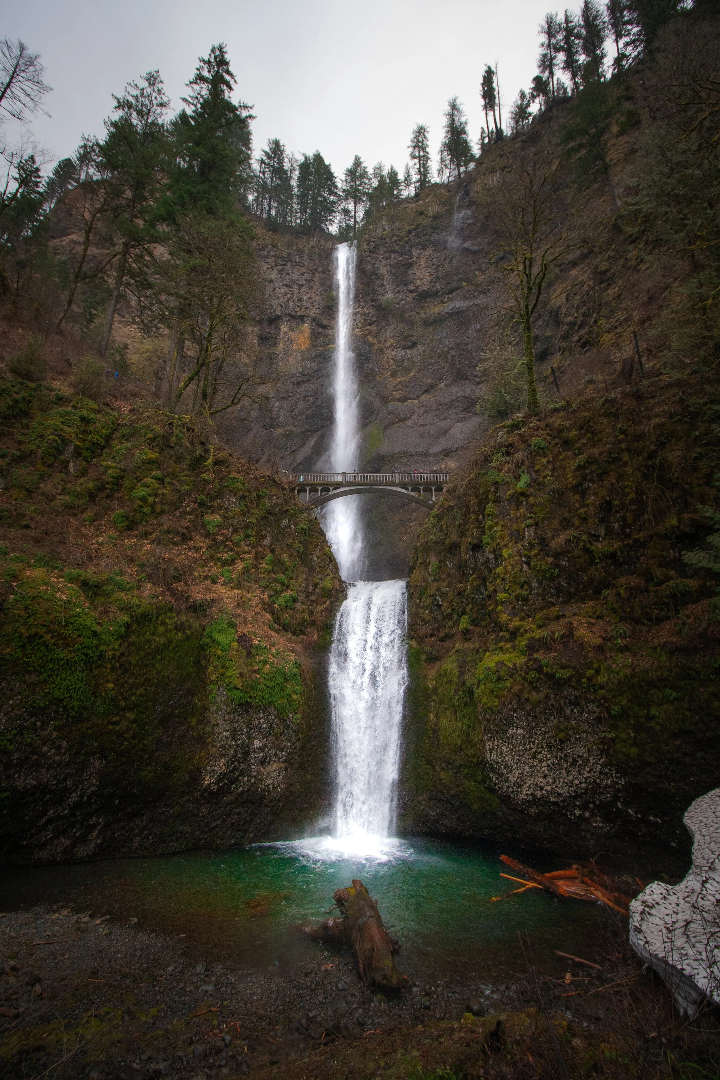 multnoma 12x18.jpg