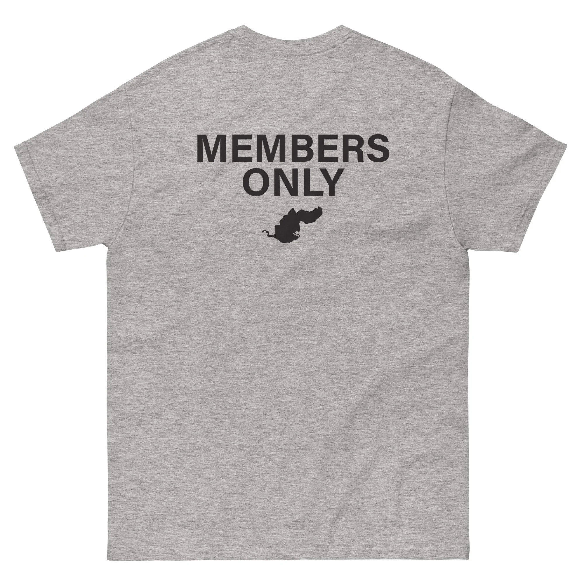 unisex-classic-tee-sport-grey-back-68068e47b2e56.jpg