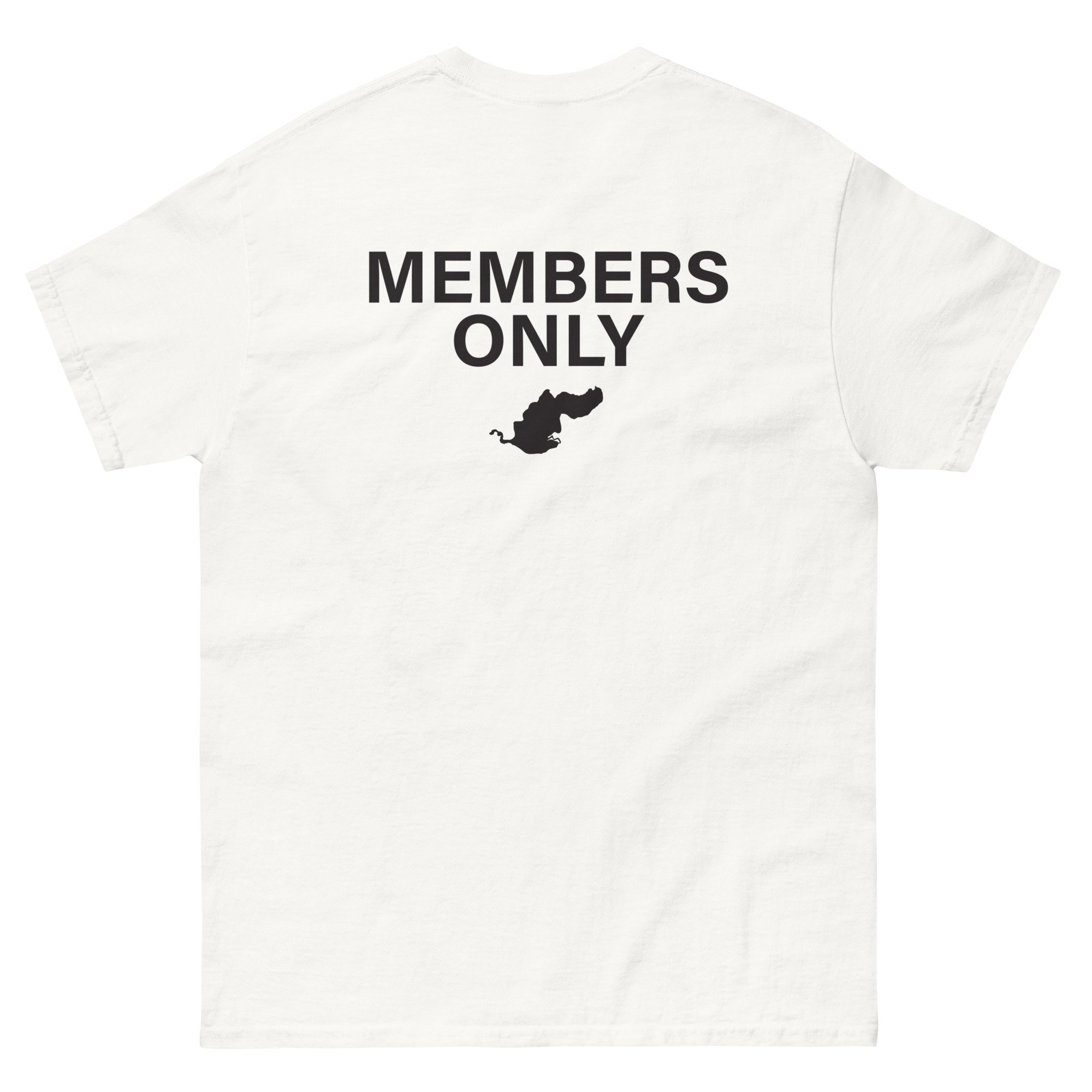 unisex-classic-tee-white-back-68068e47bcc63.jpg