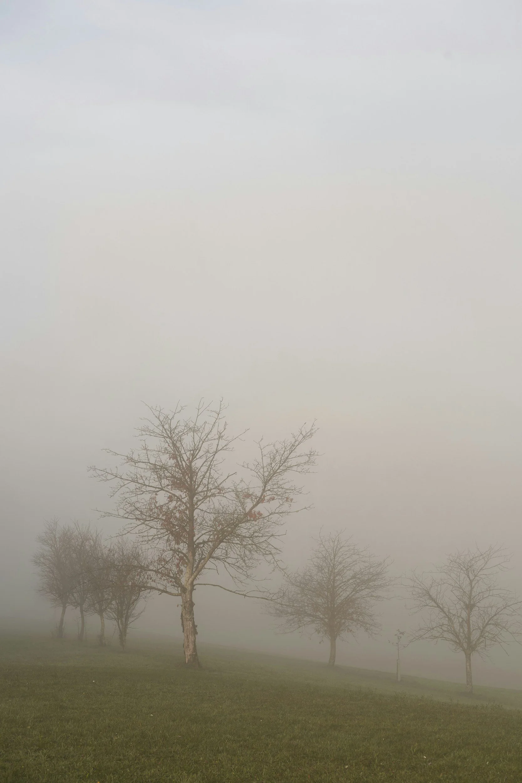 Let’s Talk about traumaversaries