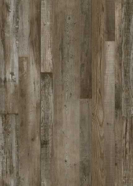 Petrified Forest Lite