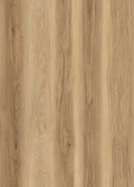 Carolina Hickory