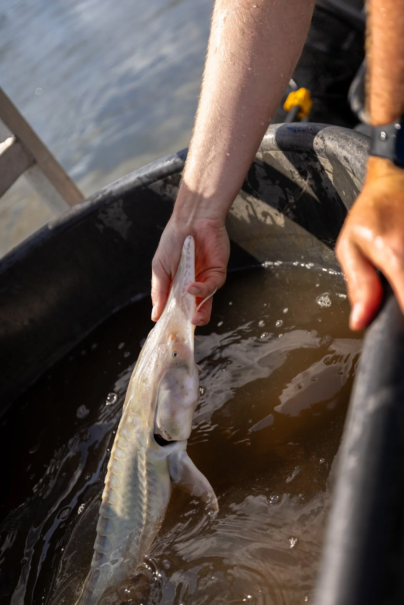 041426 Fishing Asset-26.jpg