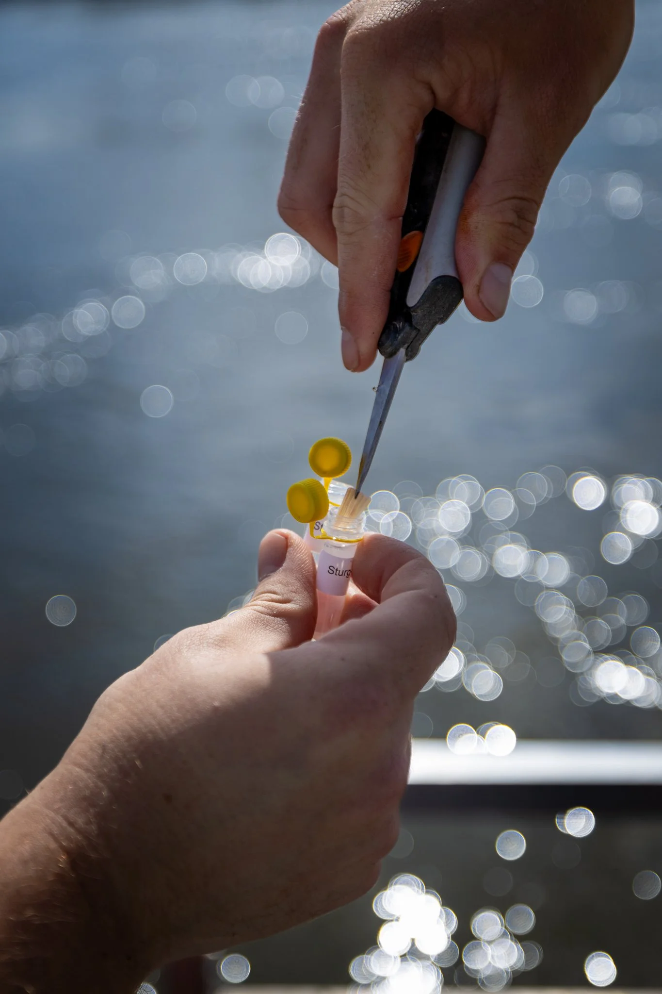 041426 Fishing Asset-27.jpg