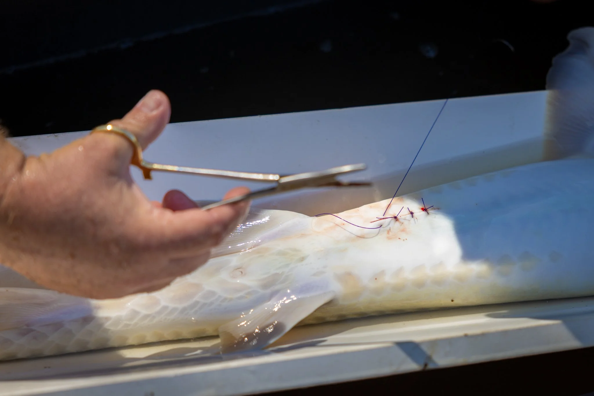 041426 Fishing Asset-51.jpg