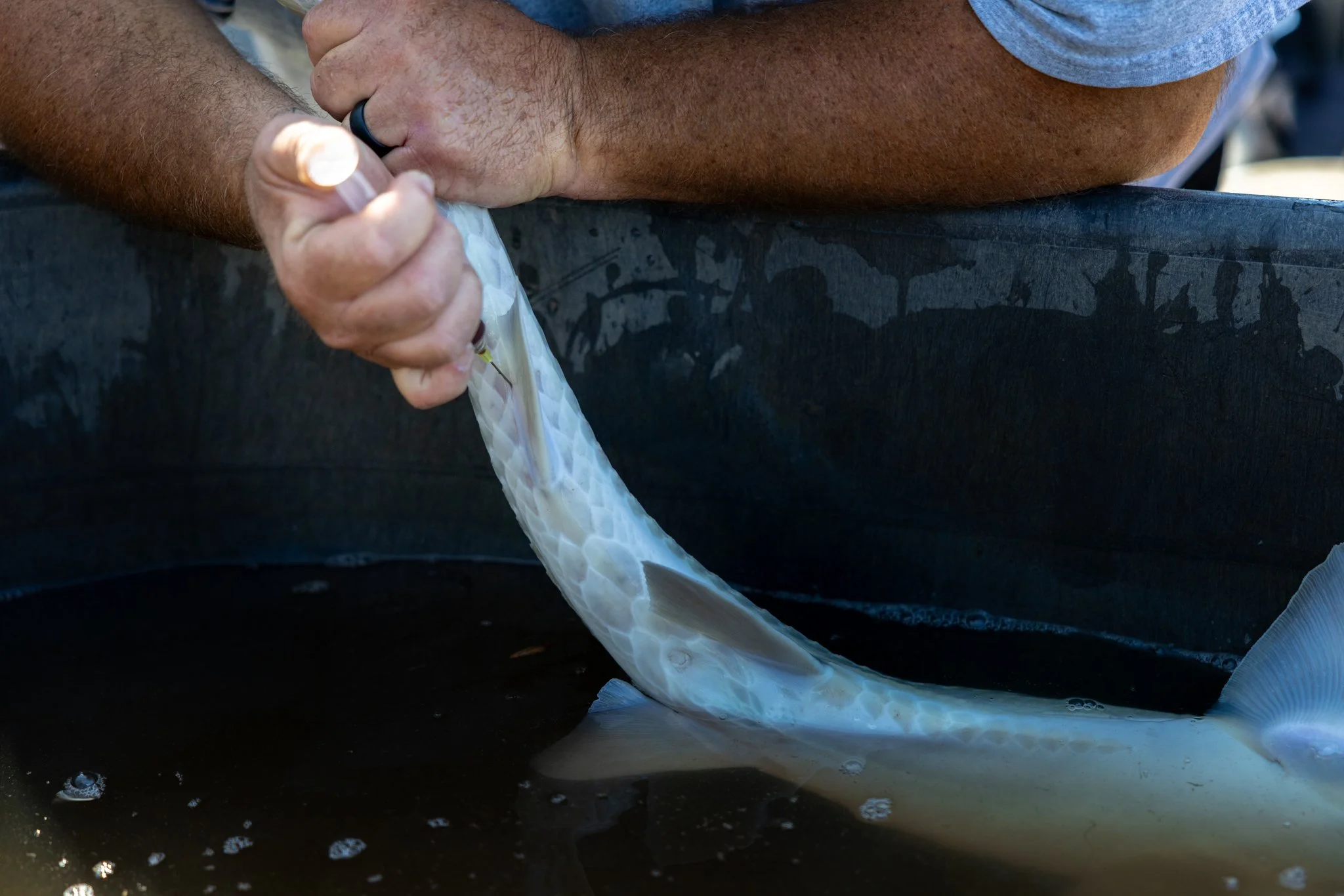 041426 Fishing Asset-38.jpg