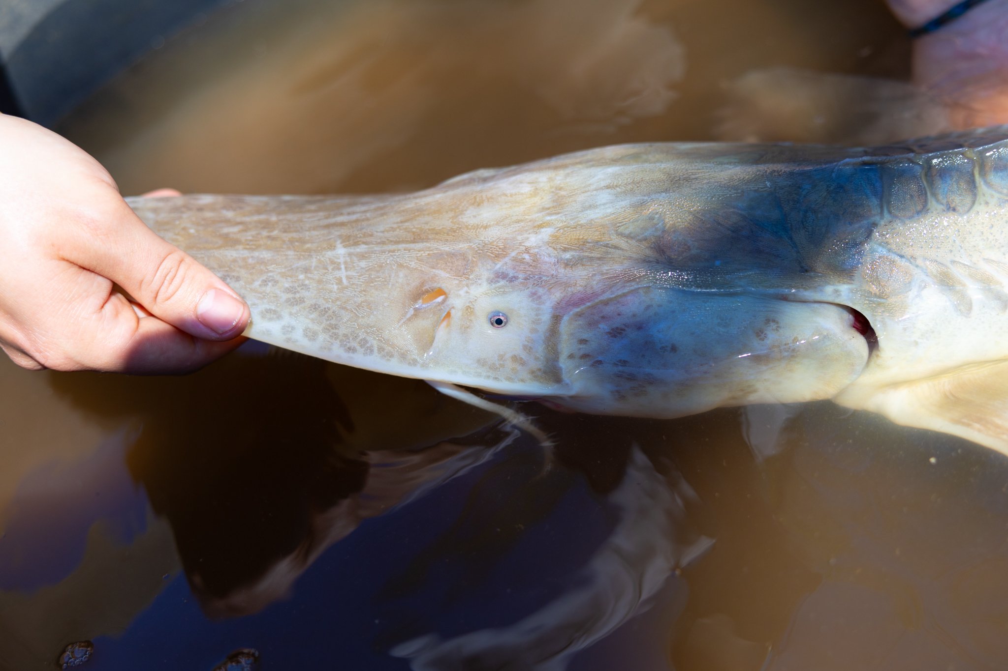 041426 Fishing Asset-54.jpg