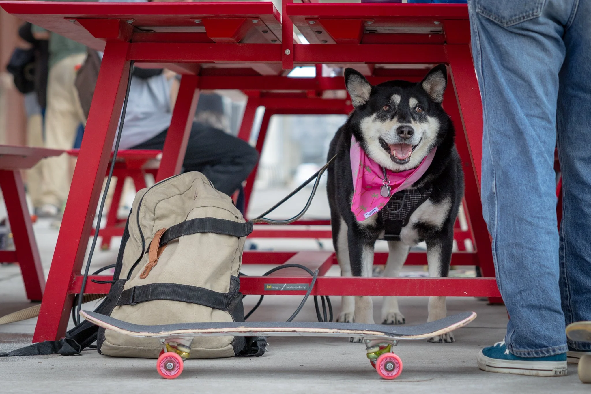 062126 Go Skate Day Compressed-067.jpg