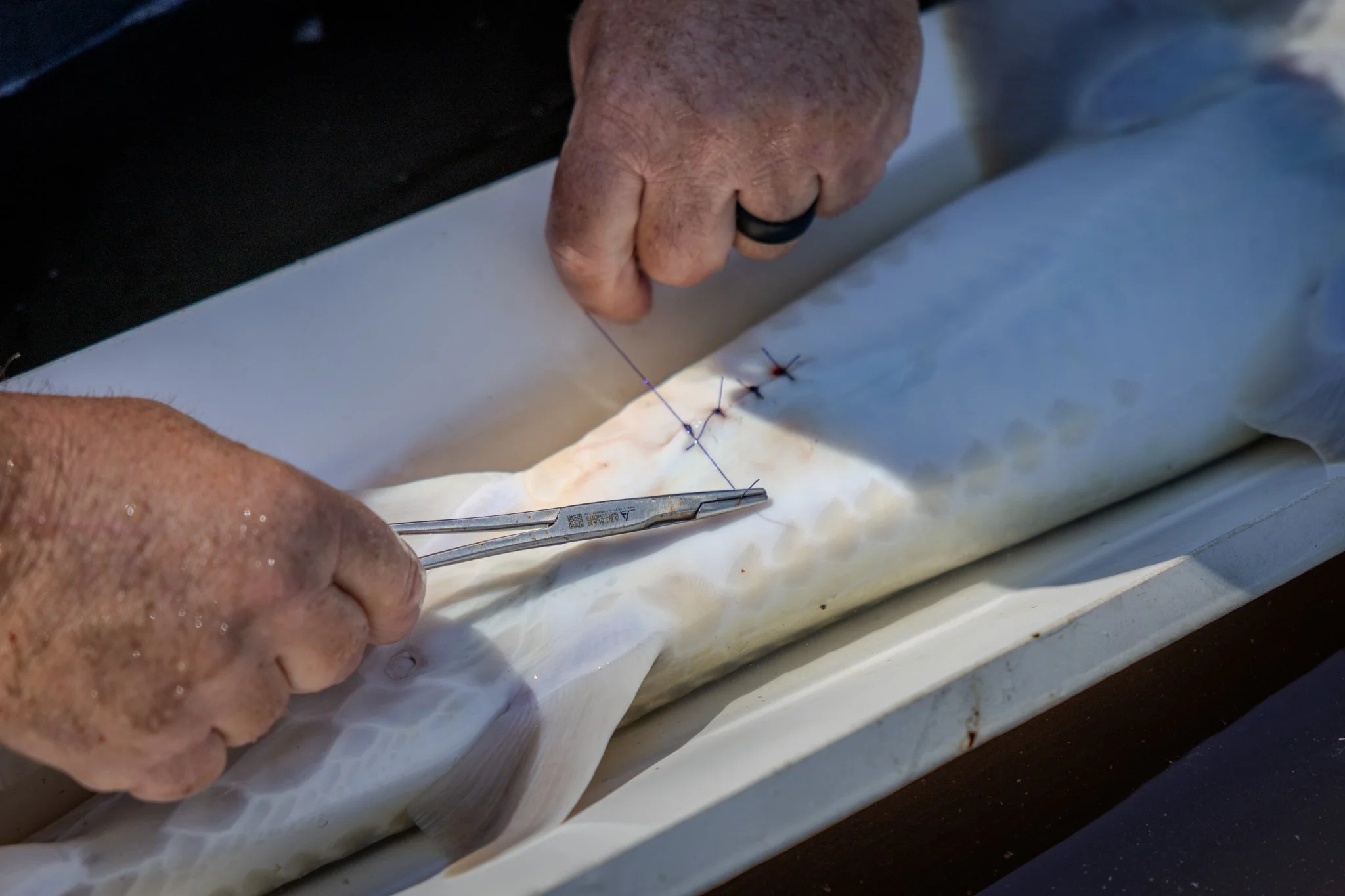 041426 Fishing Asset-52.jpg