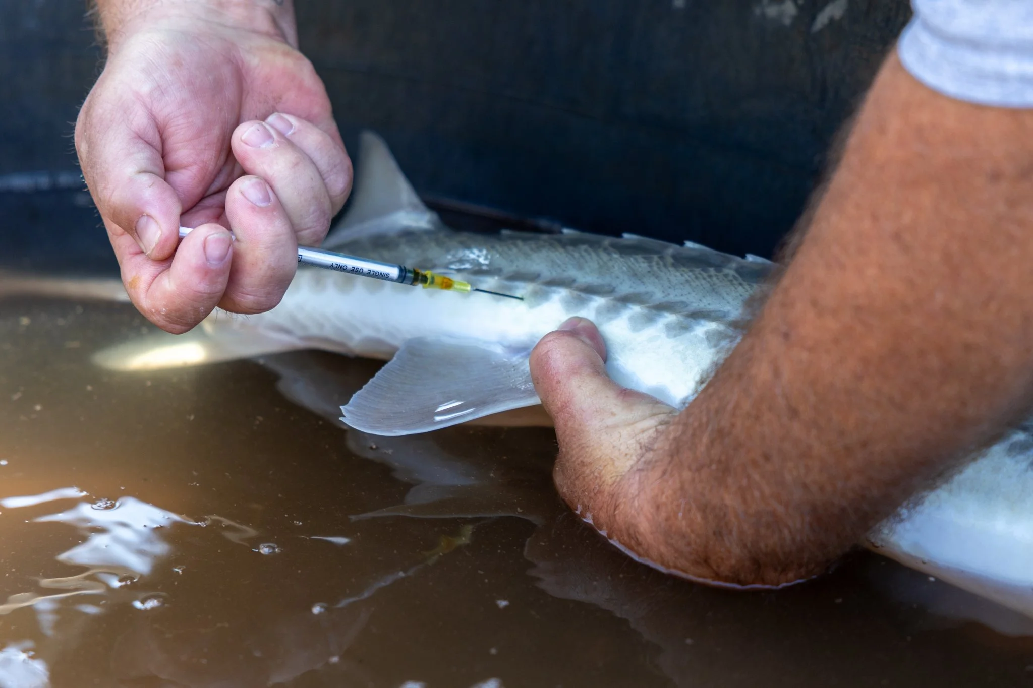 041426 Fishing Asset-39.jpg