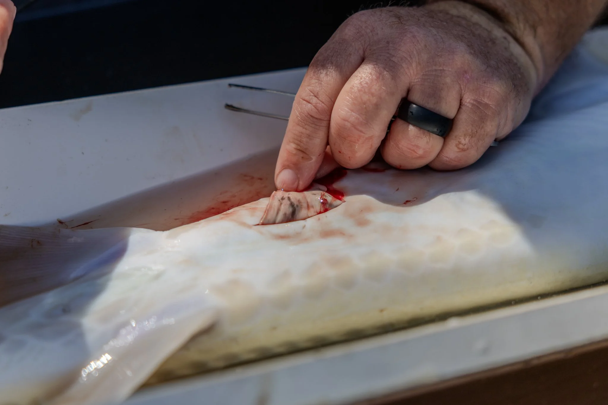 041426 Fishing Asset-46.jpg