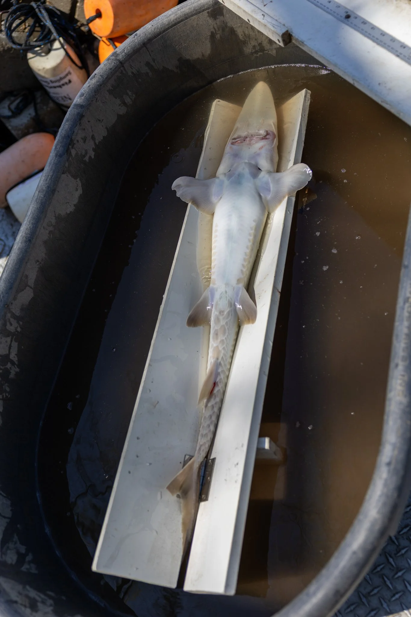 041426 Fishing Asset-41.jpg