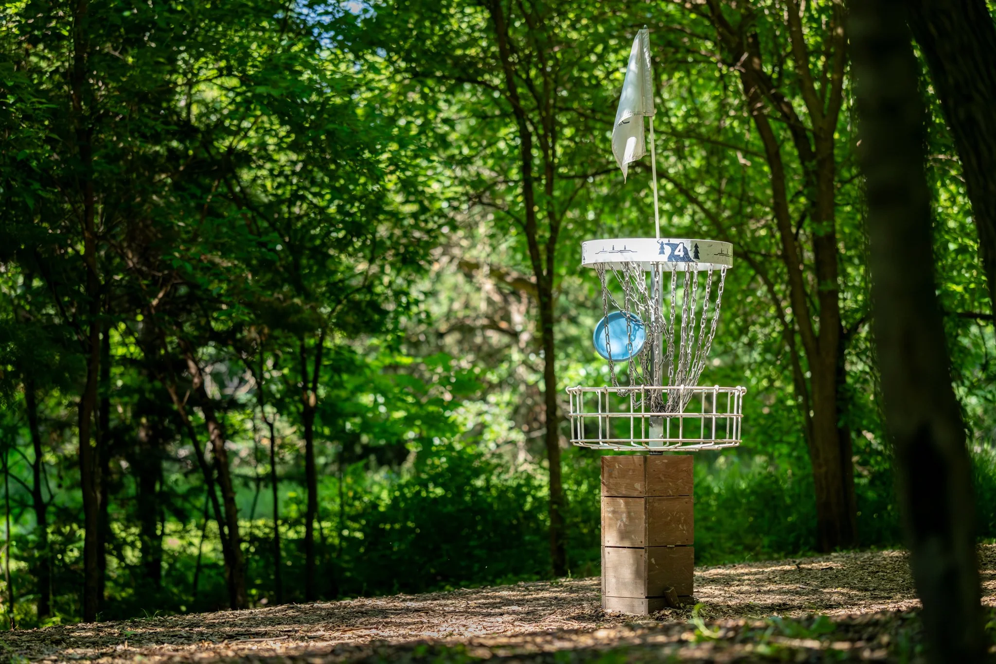 060526 SCC Disc Golf-130.jpg