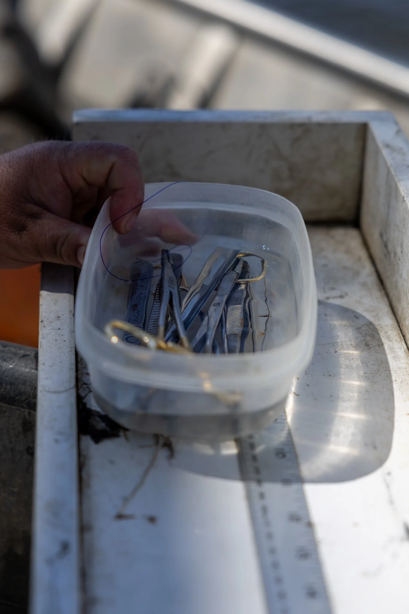 041426 Fishing Asset-42.jpg