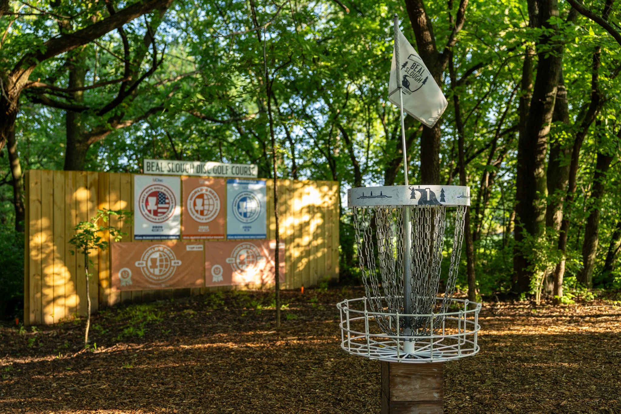 060526 SCC Disc Golf-8.jpg