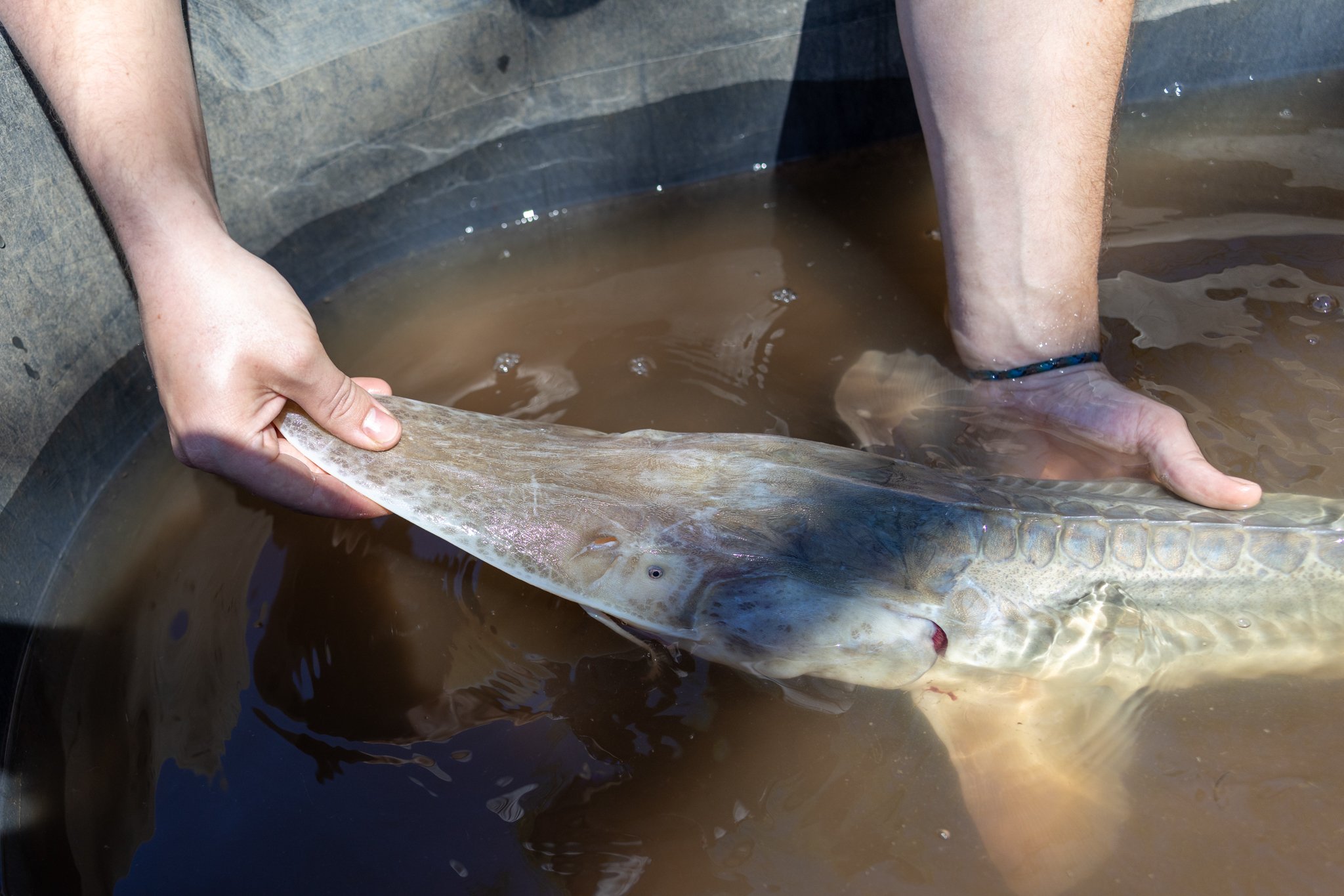 041426 Fishing Asset-53.jpg