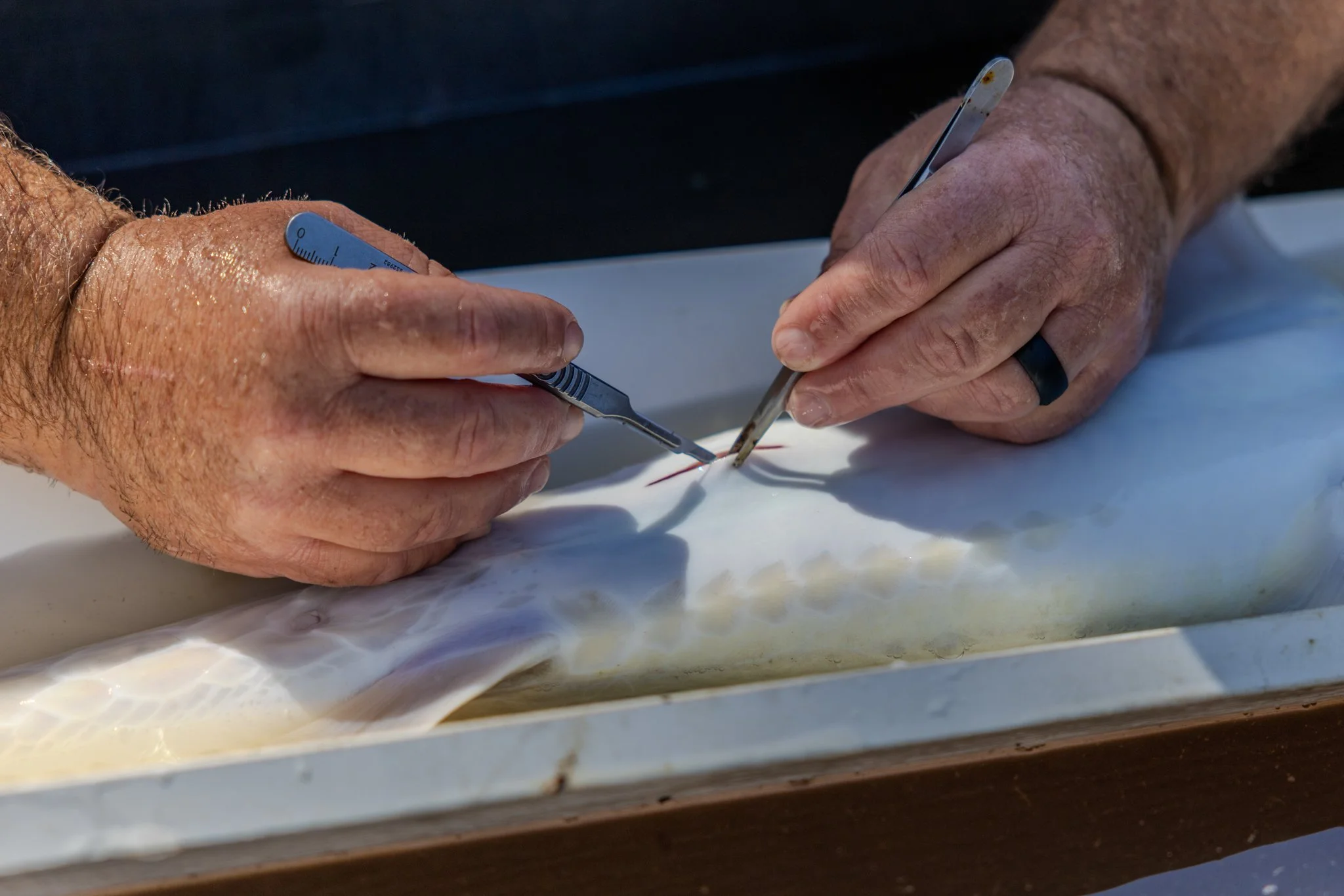 041426 Fishing Asset-44.jpg