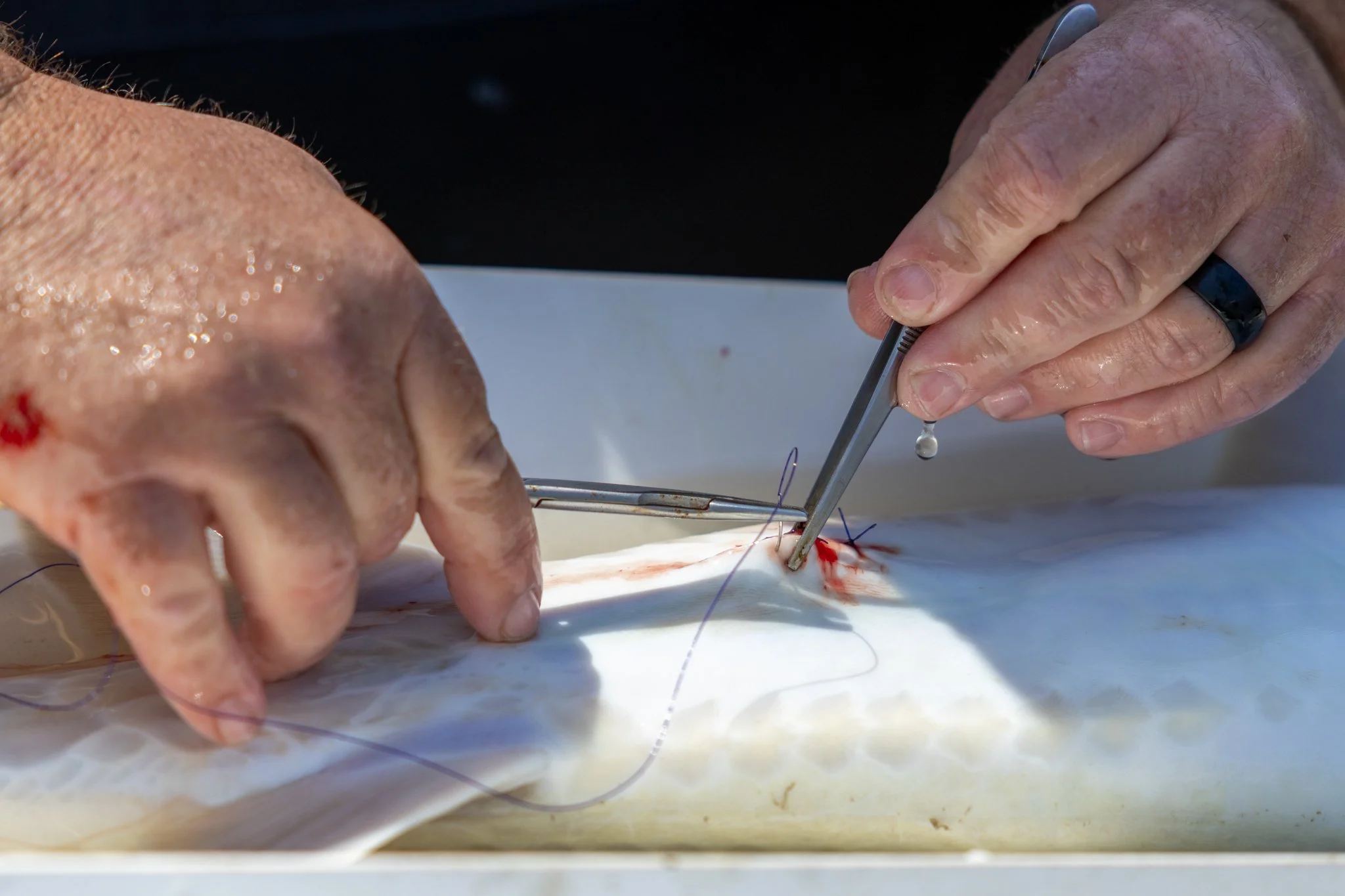 041426 Fishing Asset-49.jpg