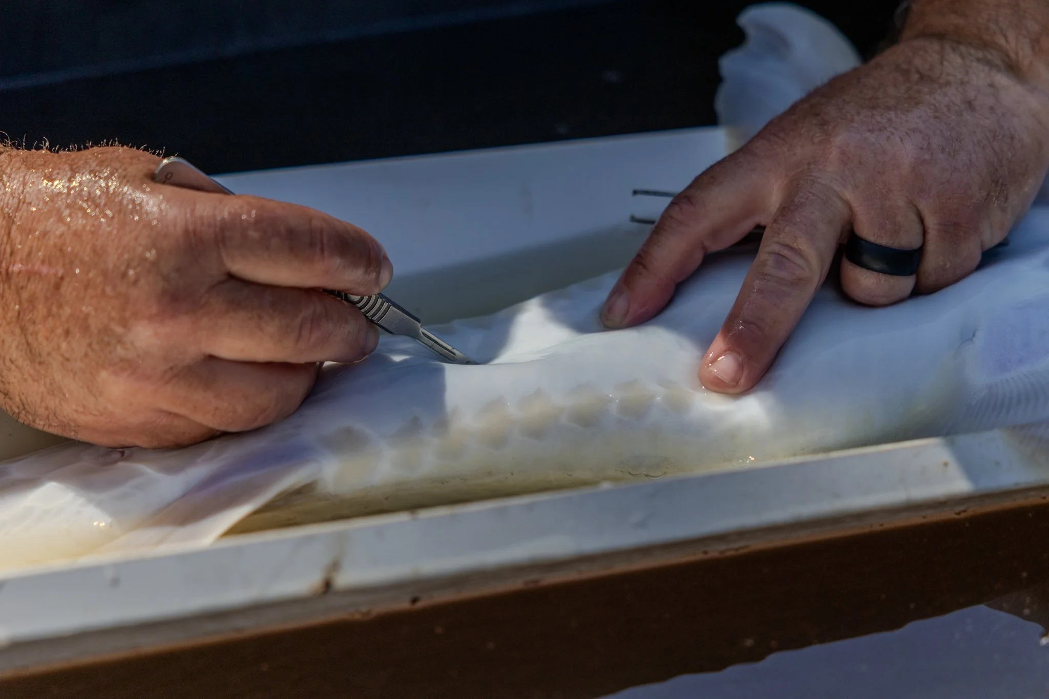 041426 Fishing Asset-43.jpg