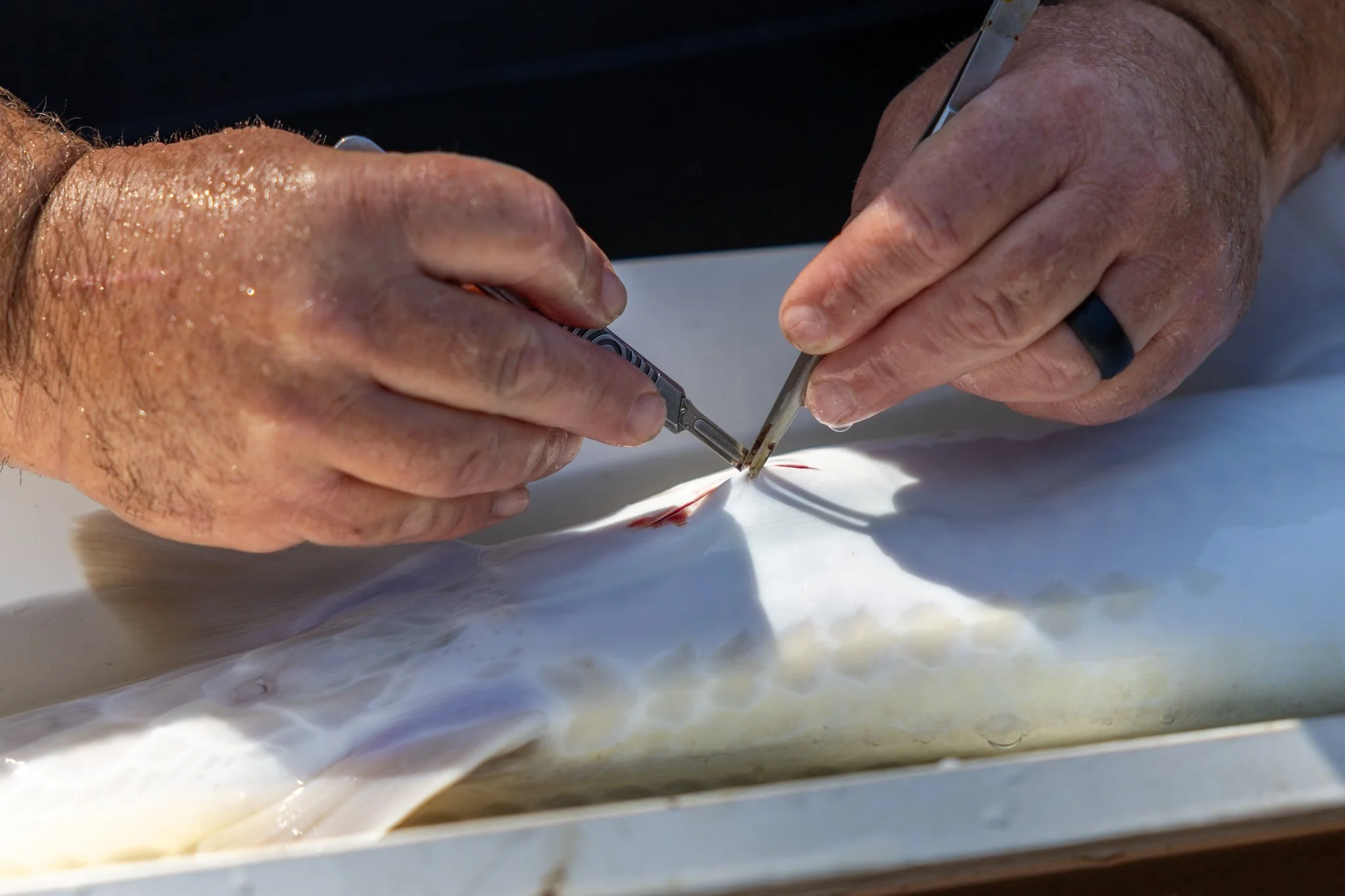 041426 Fishing Asset-45.jpg