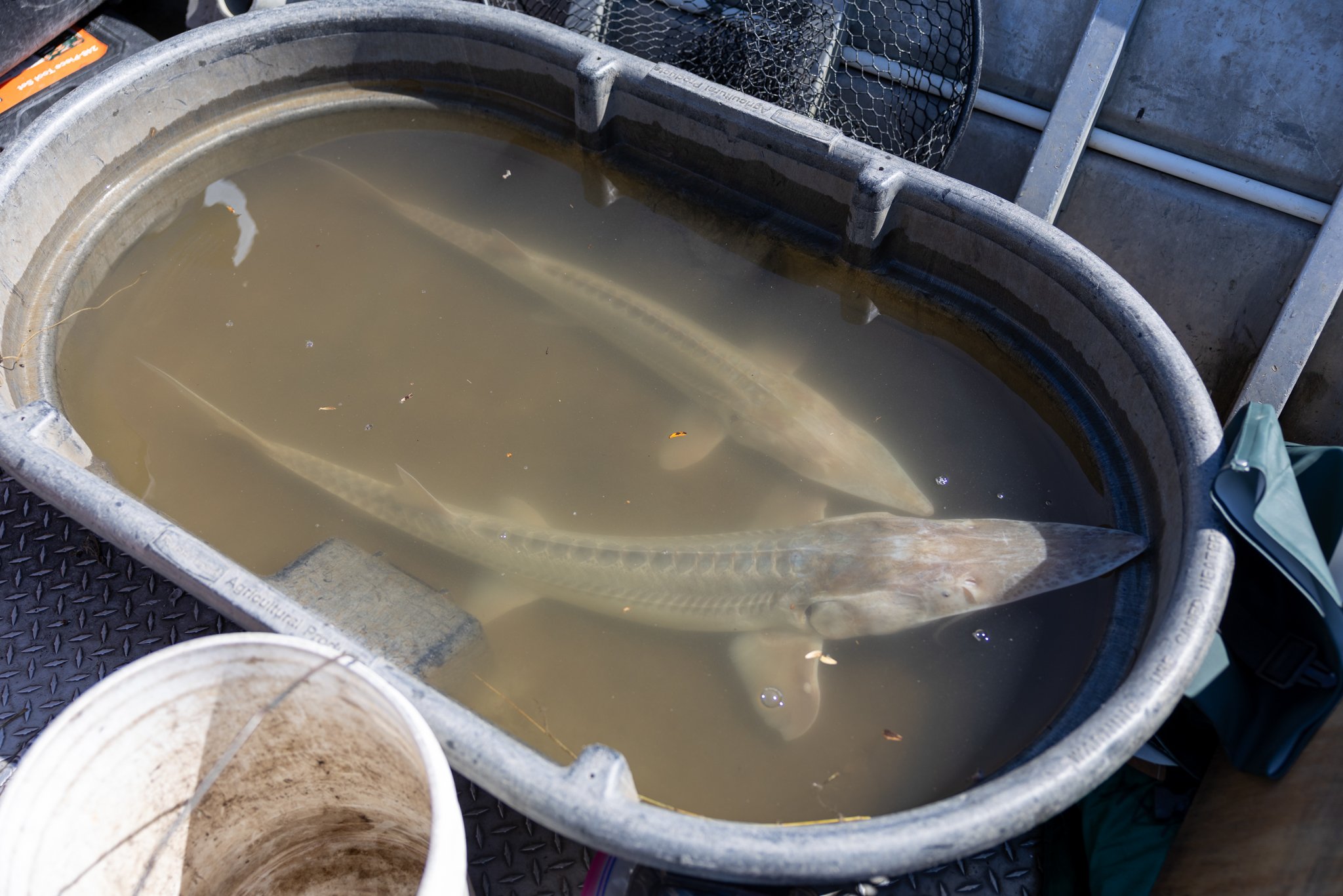 041426 Fishing Asset-35.jpg