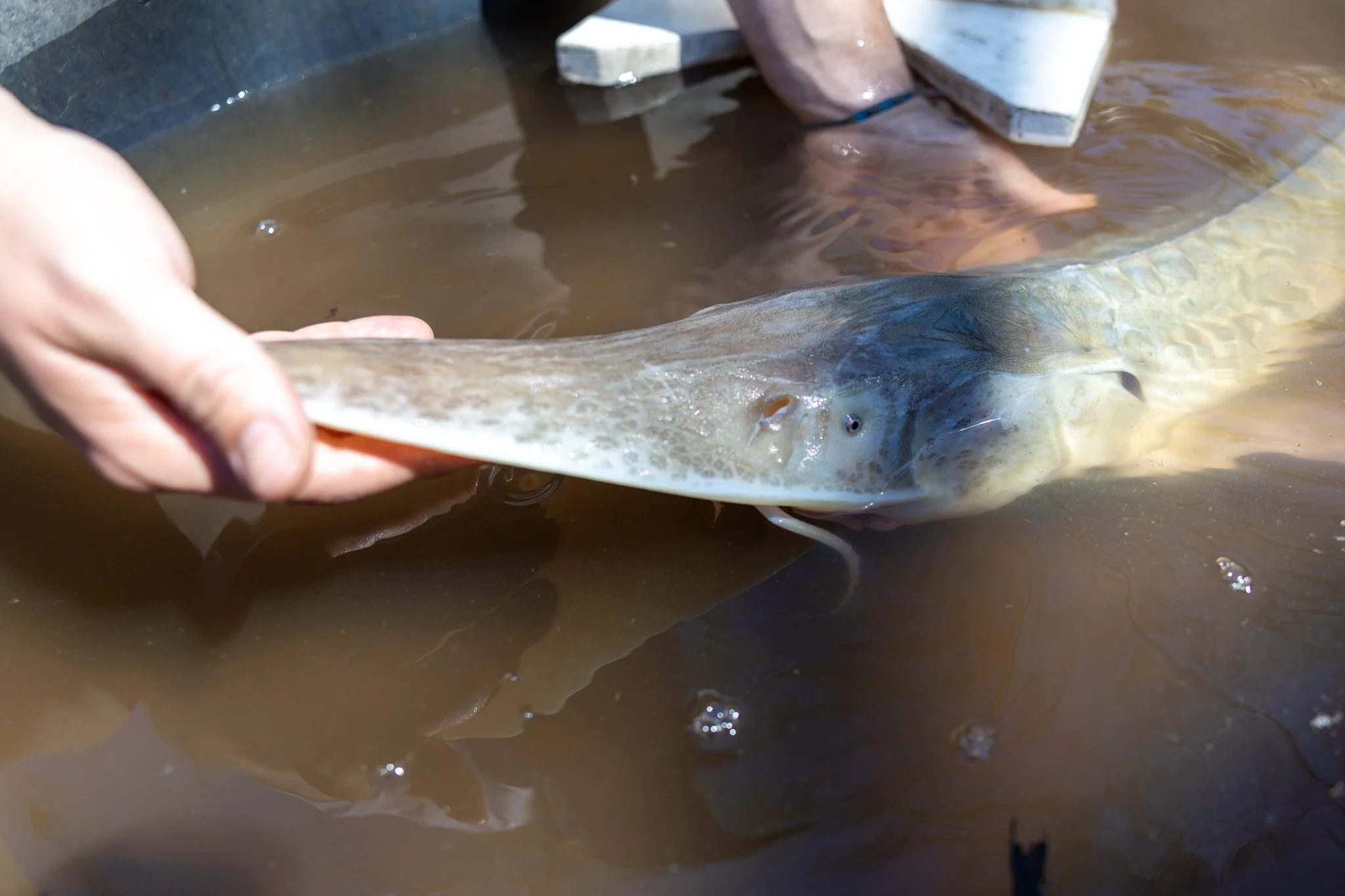 041426 Fishing Asset-55.jpg