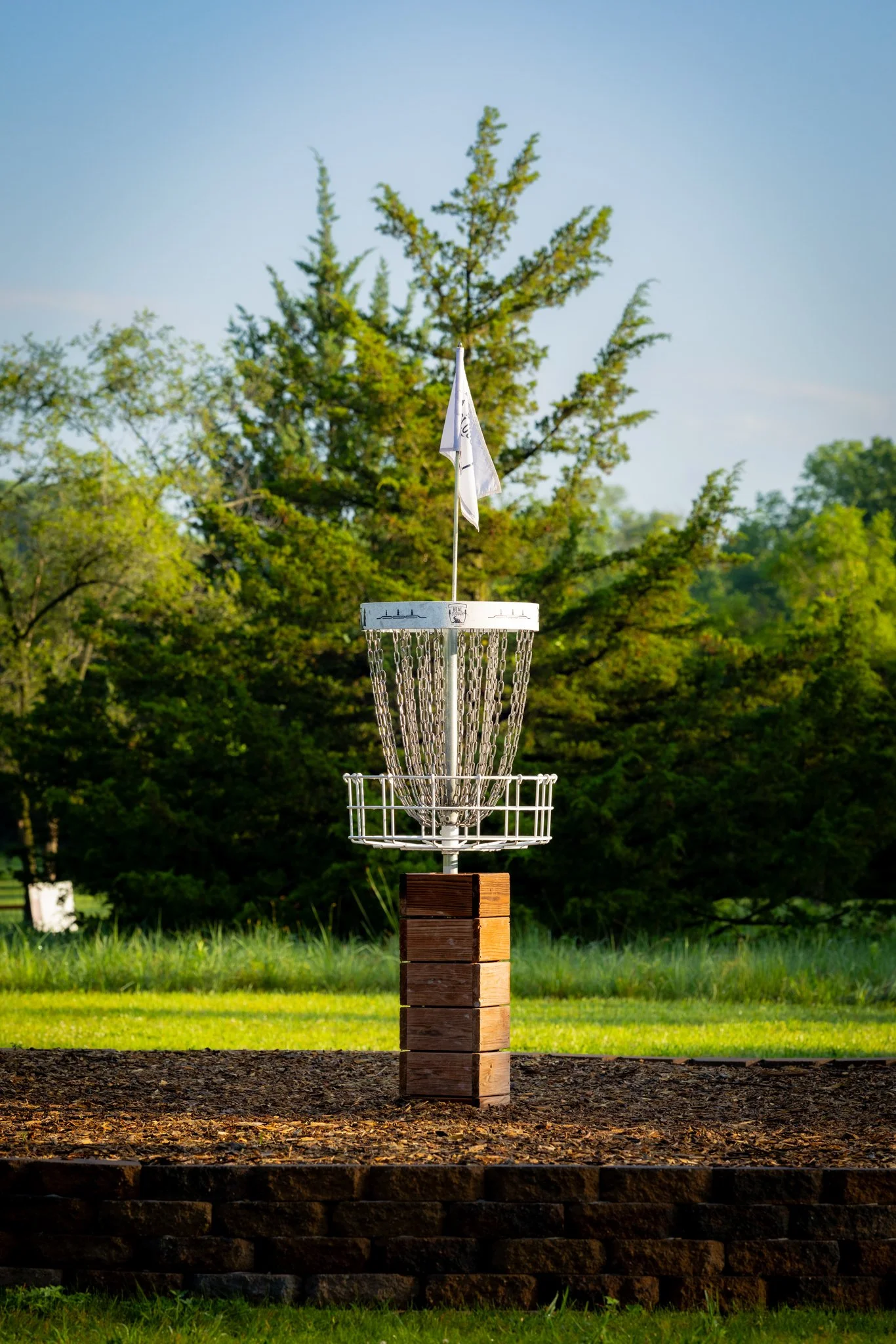 060526 SCC Disc Golf-11.jpg