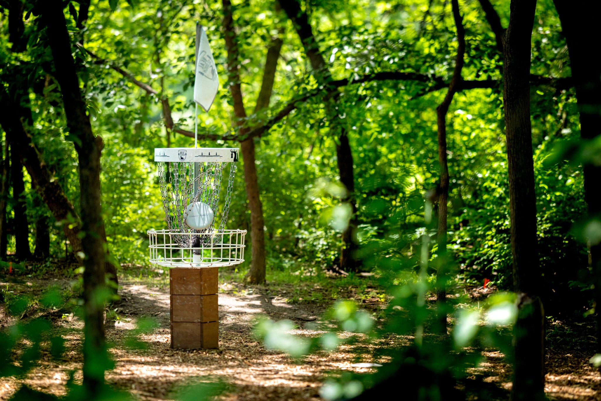 060526 SCC Disc Golf-98.jpg