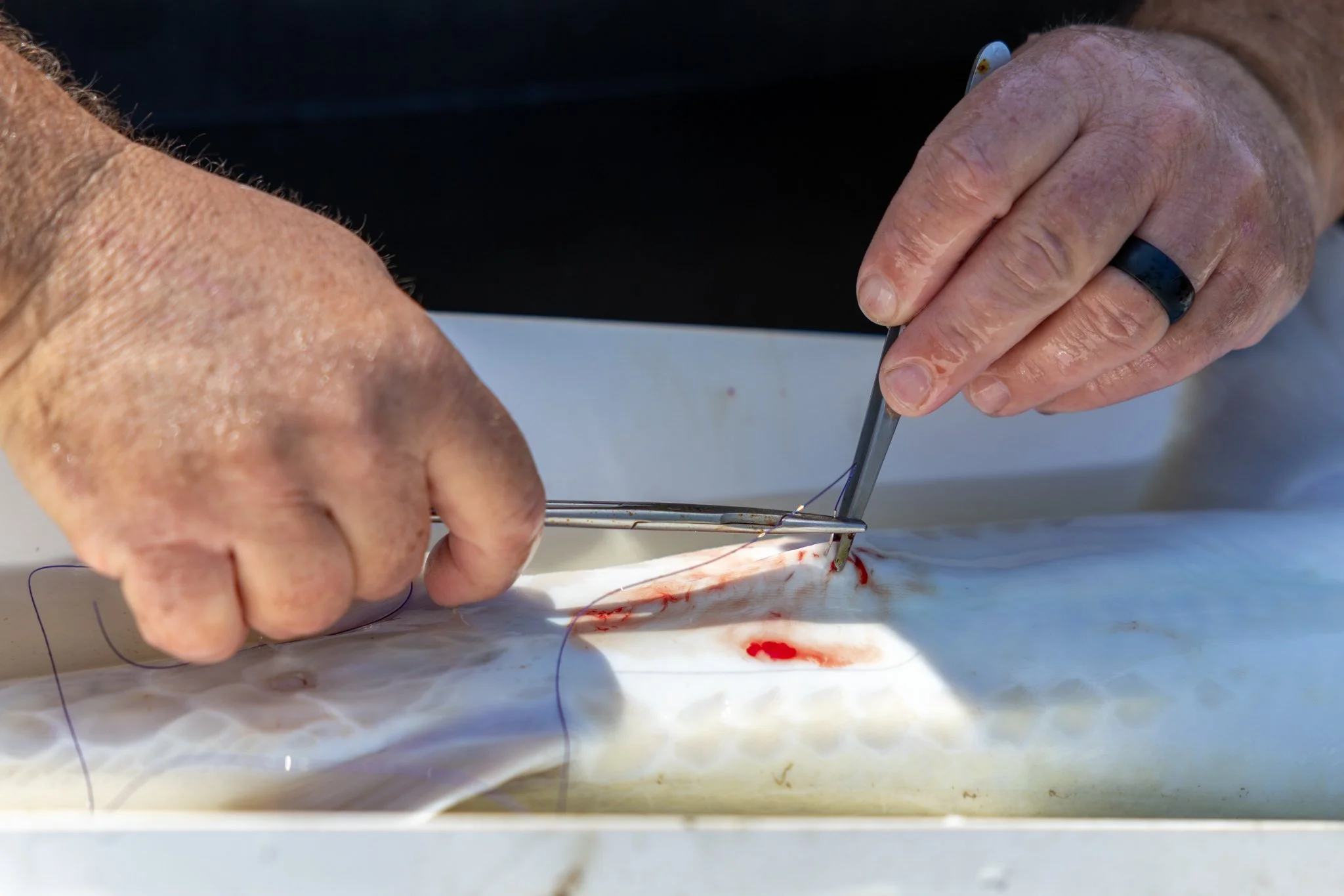 041426 Fishing Asset-47.jpg