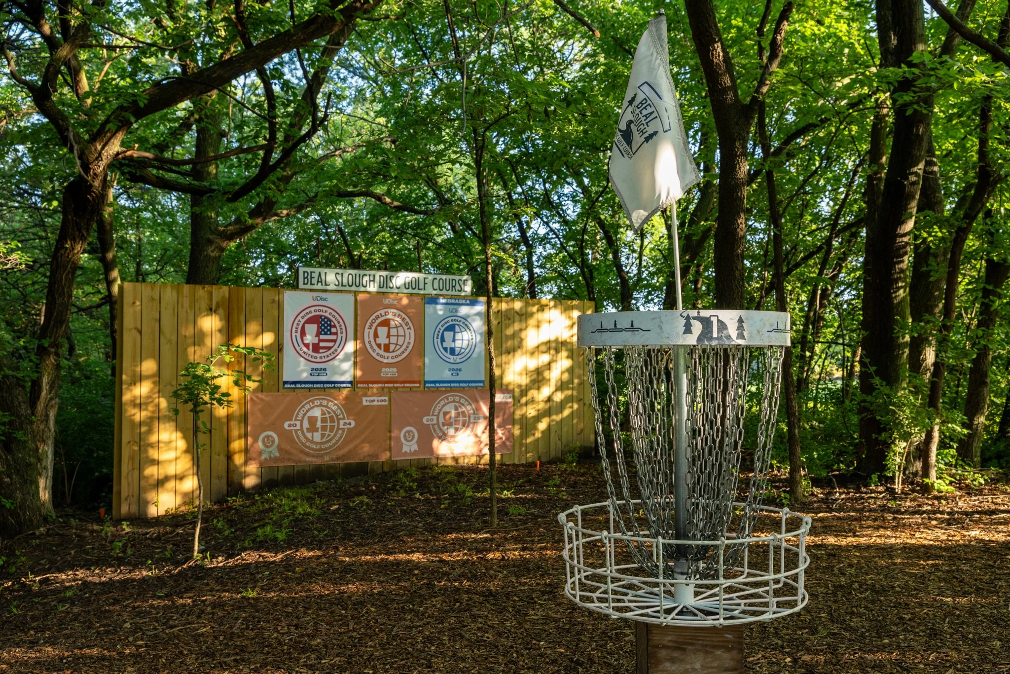 060526 SCC Disc Golf-9.jpg