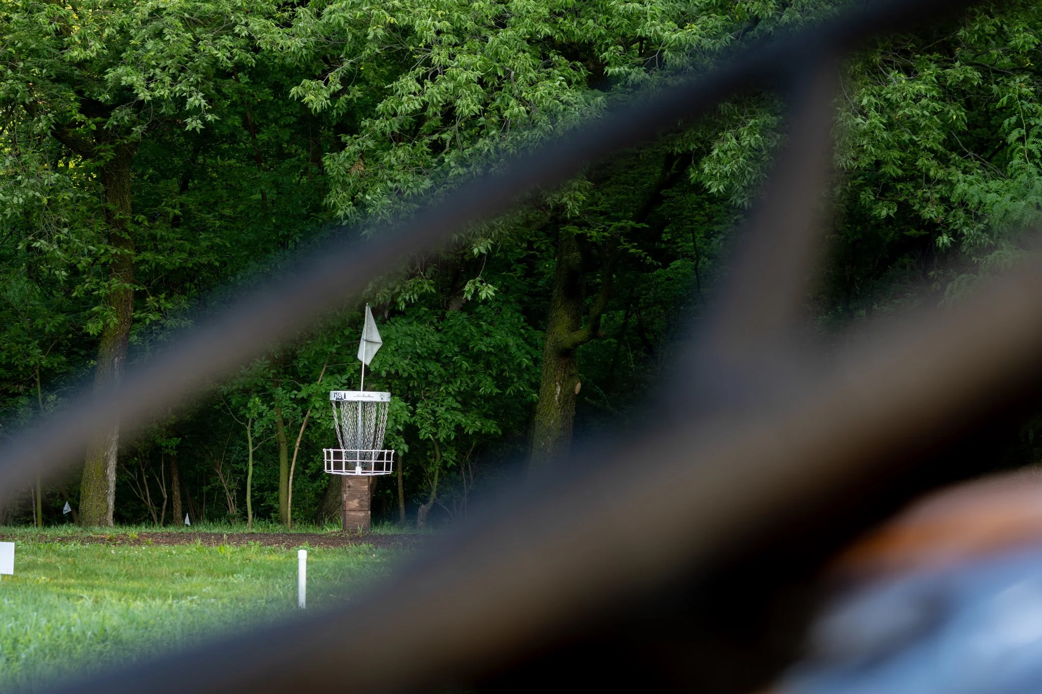 060526 SCC Disc Golf-6.jpg